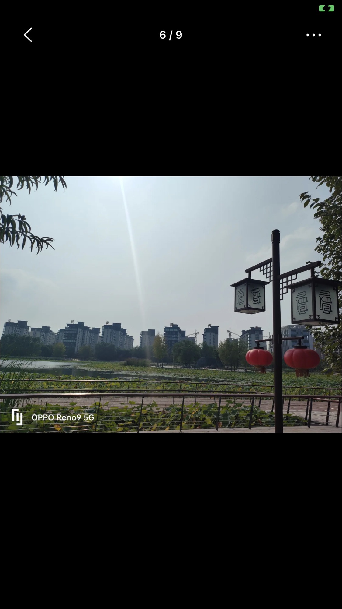 温县慈胜公园旅行图片 2