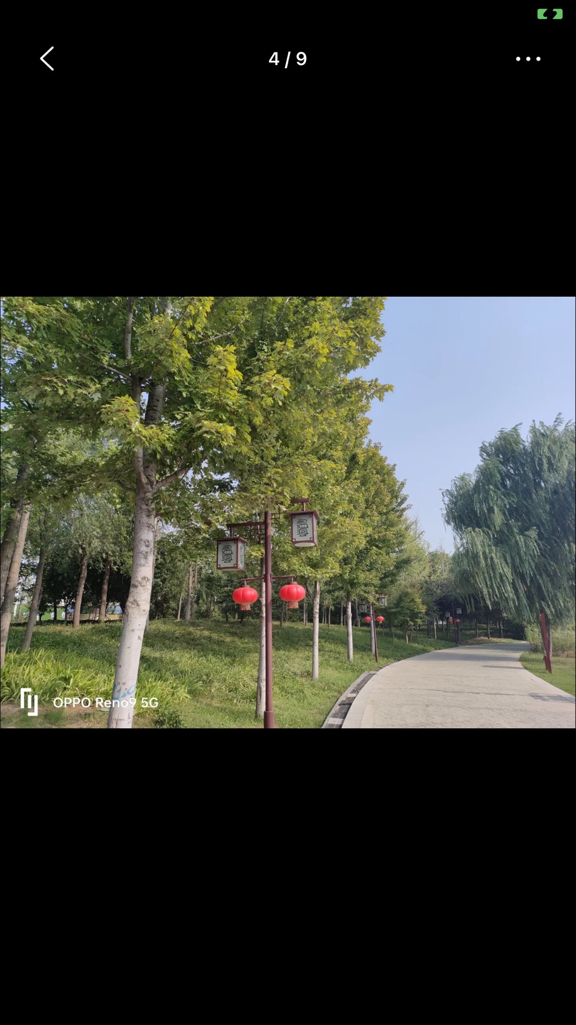 温县慈胜公园旅行图片 1