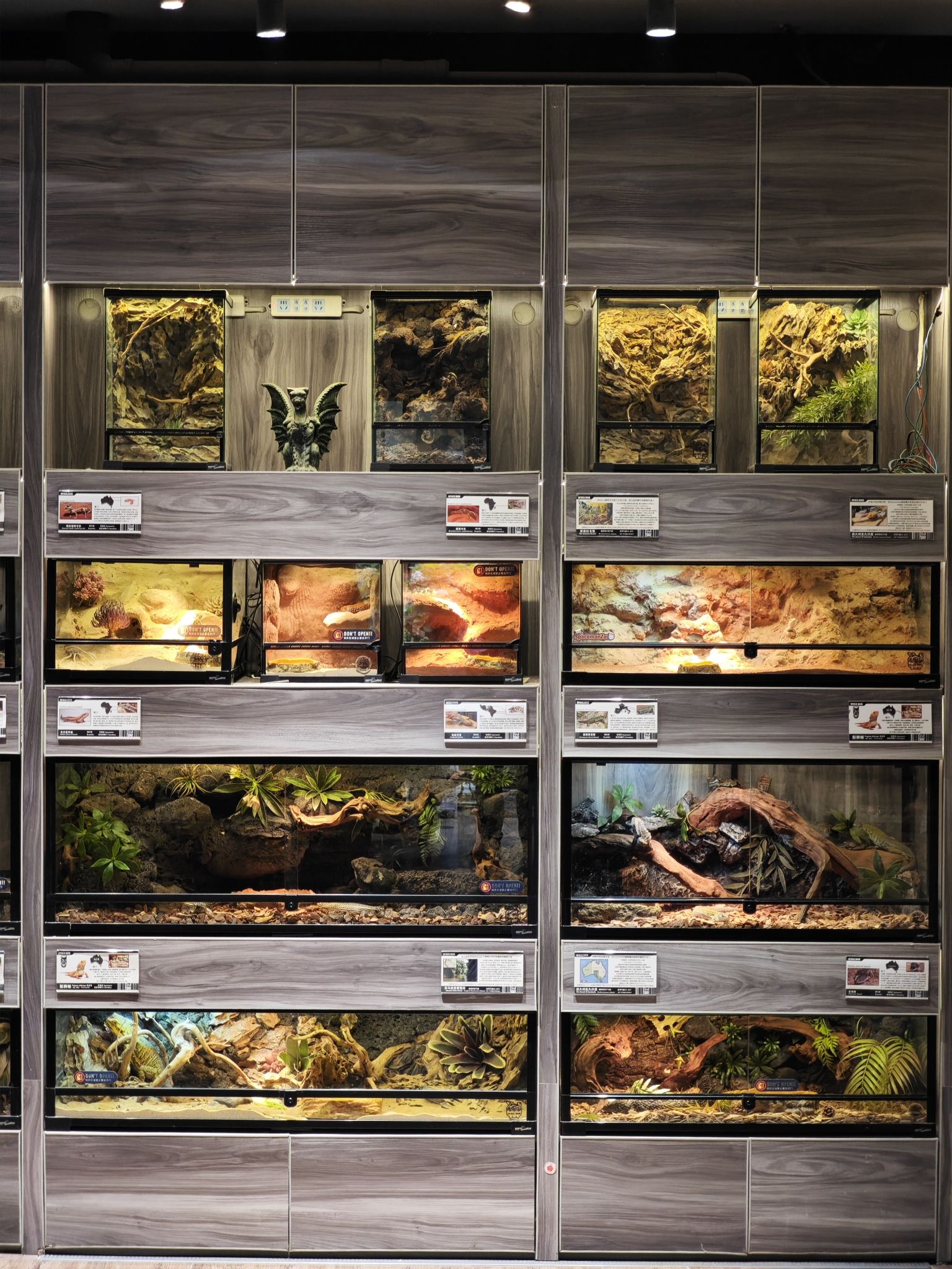 场地封面-Spaceman神奇动物亲子乐园