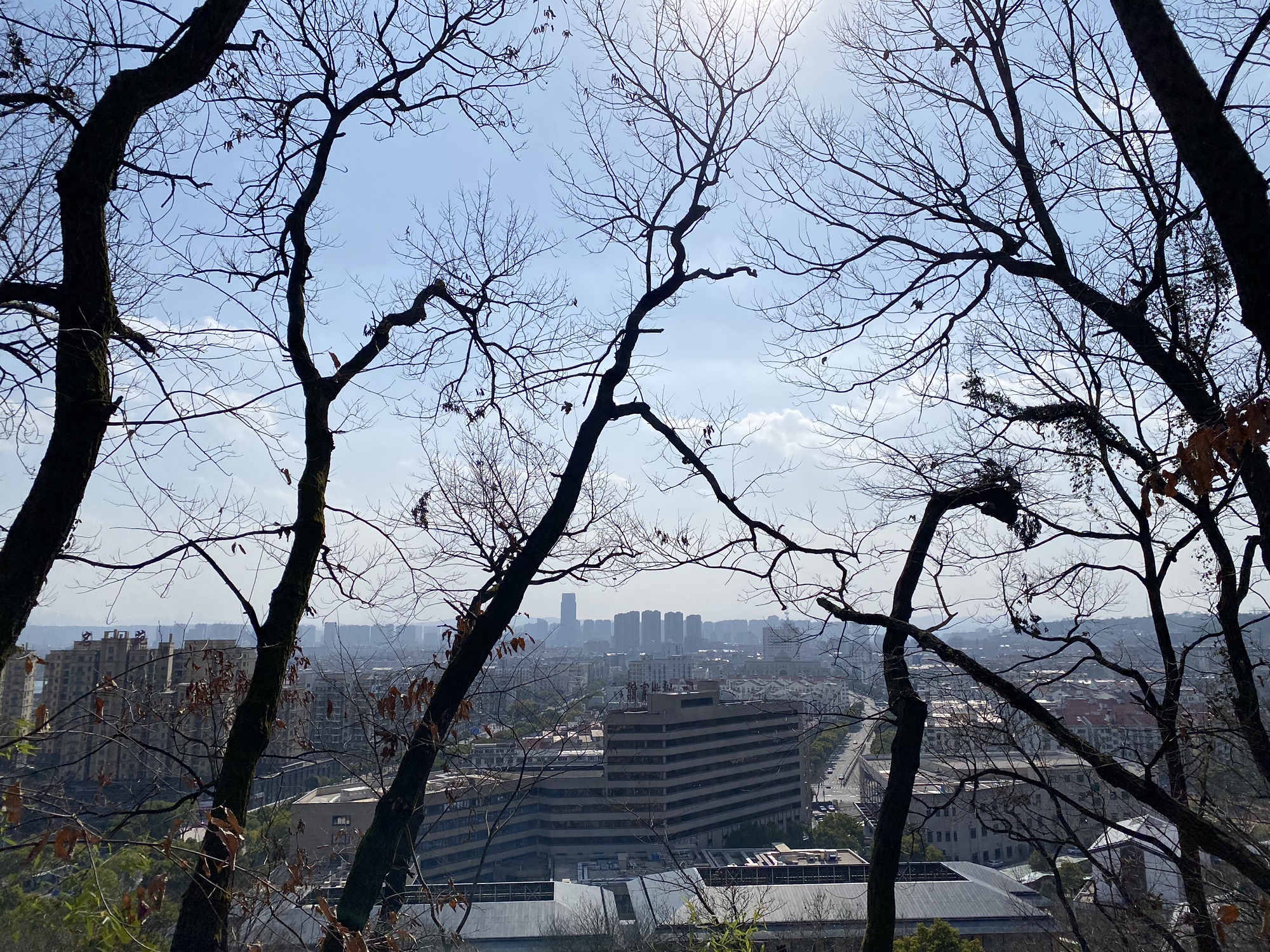 艇湖塔旅行图片 1