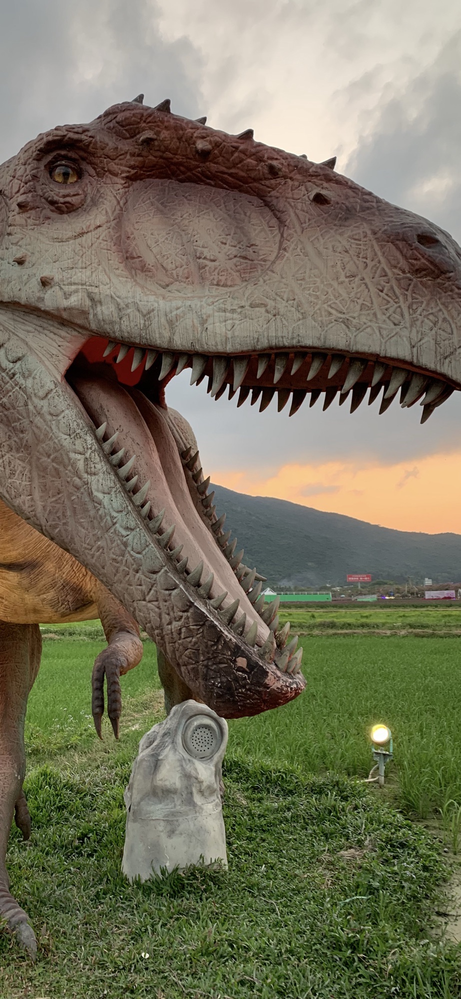 中国明星恐龙区