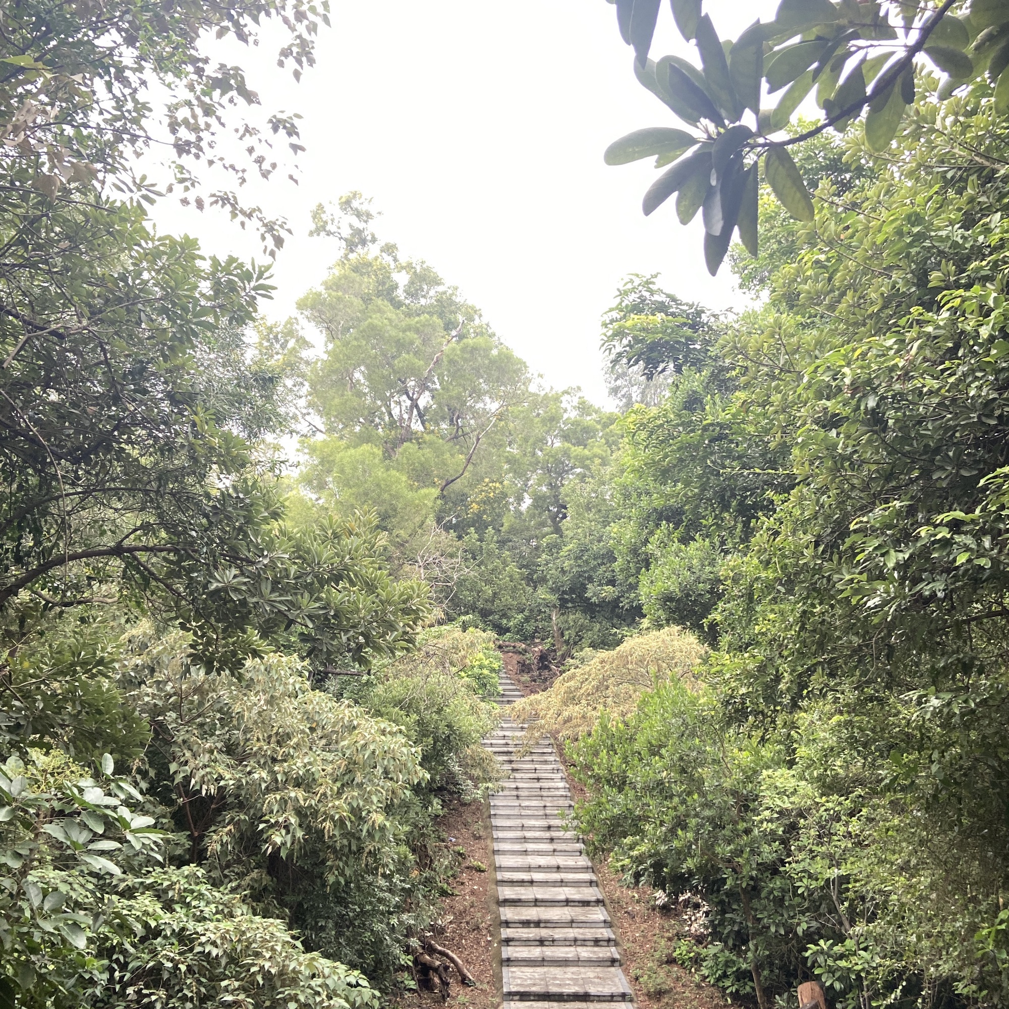 小林山生态公园旅行图片 1