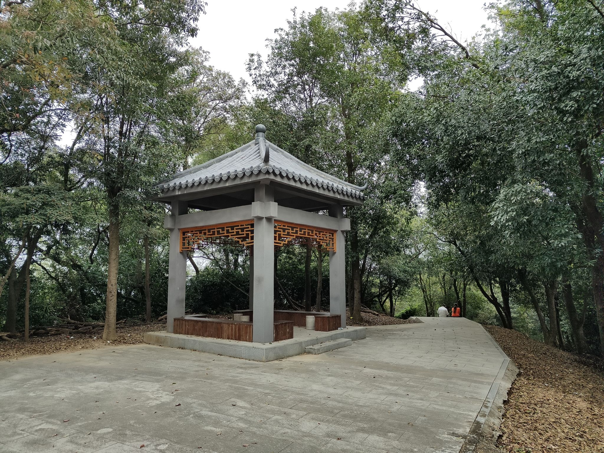 小林山生态公园旅行图片 3