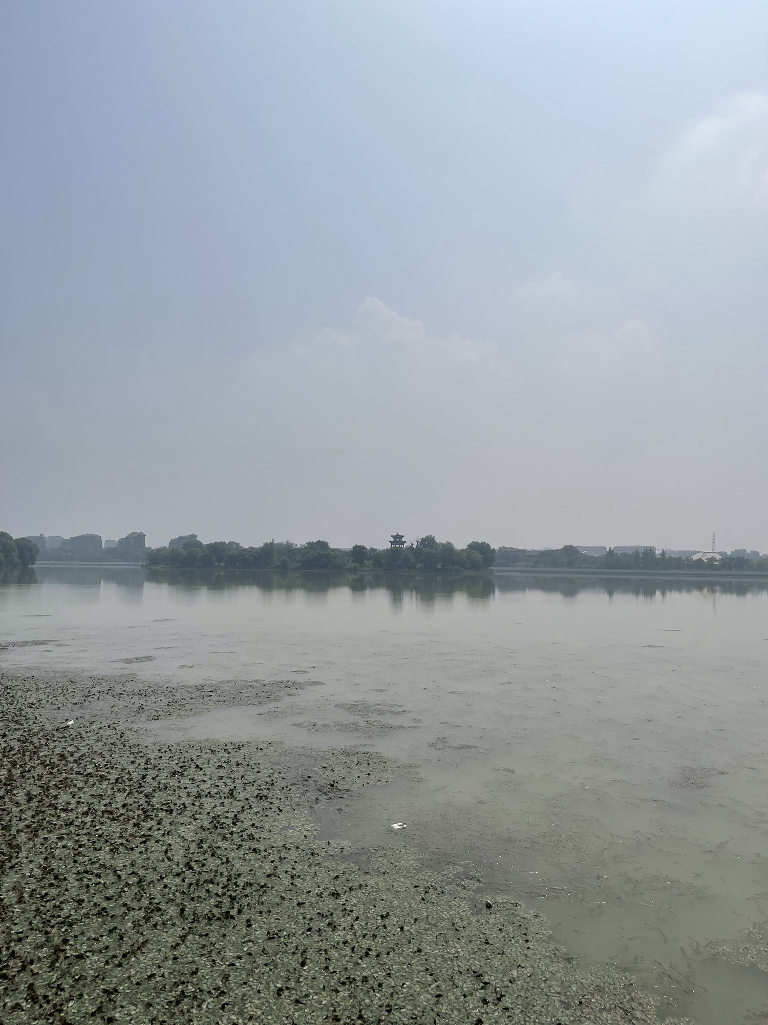 太公湖国家水利风景区旅行图片 3