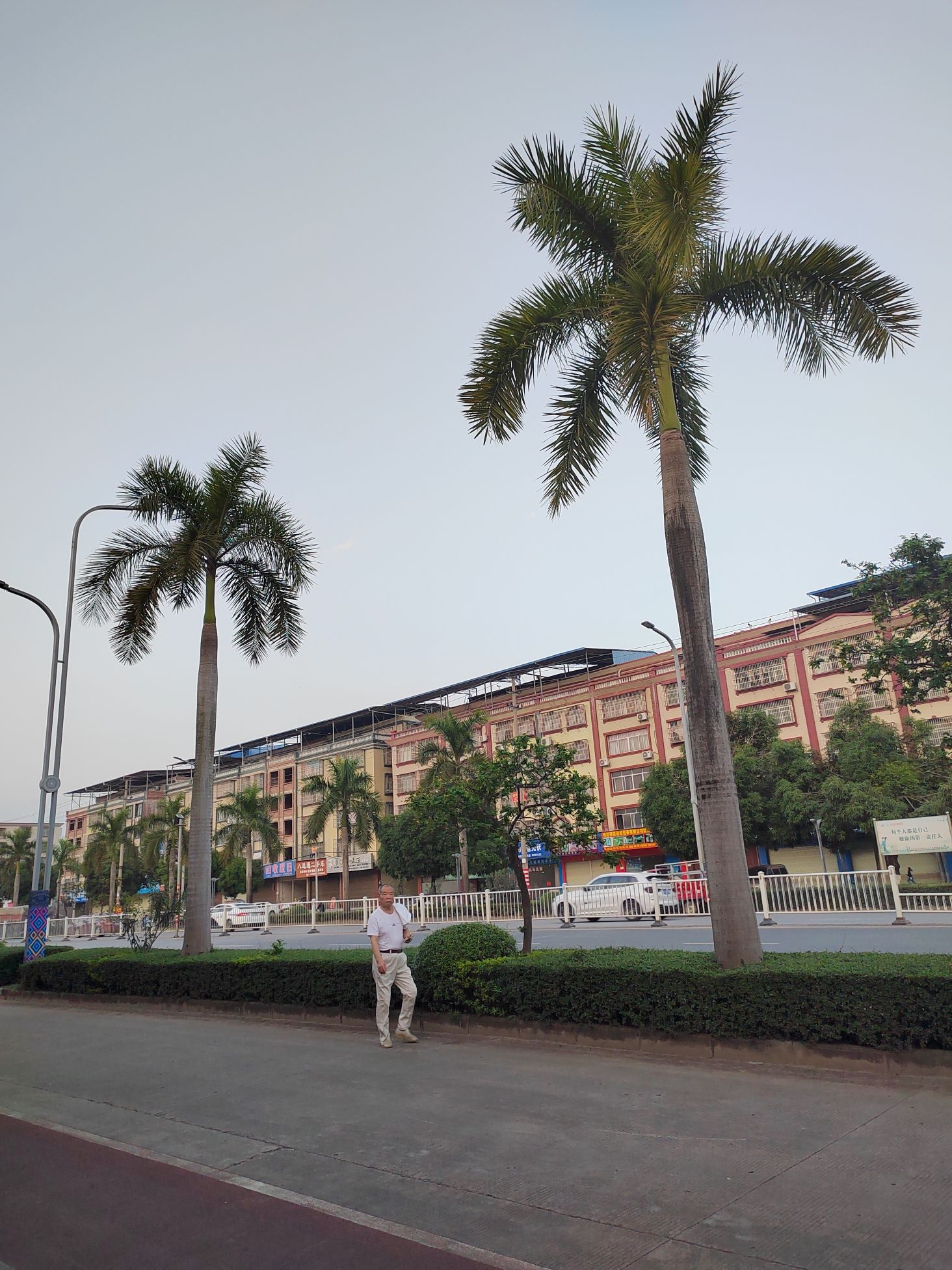 定罗湖公园旅行图片 1