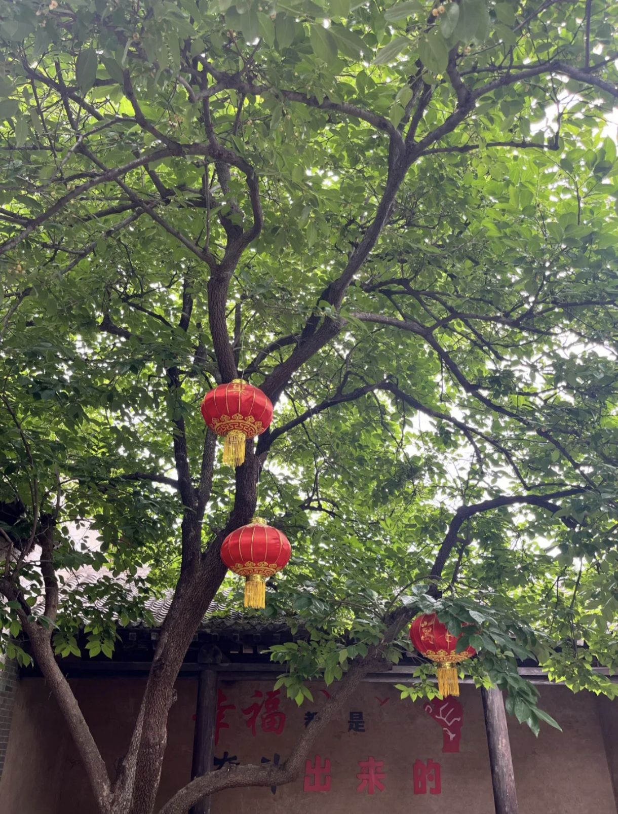 老家莫沟旅行图片 2