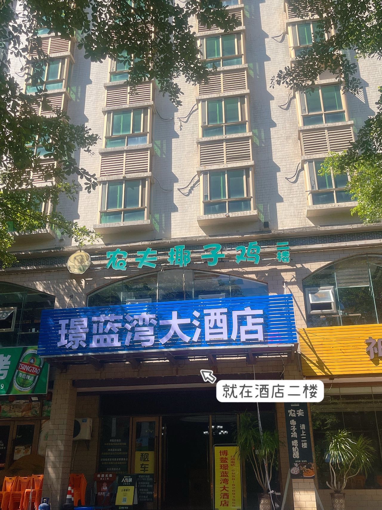 农夫椰子鸡(博鳌店)