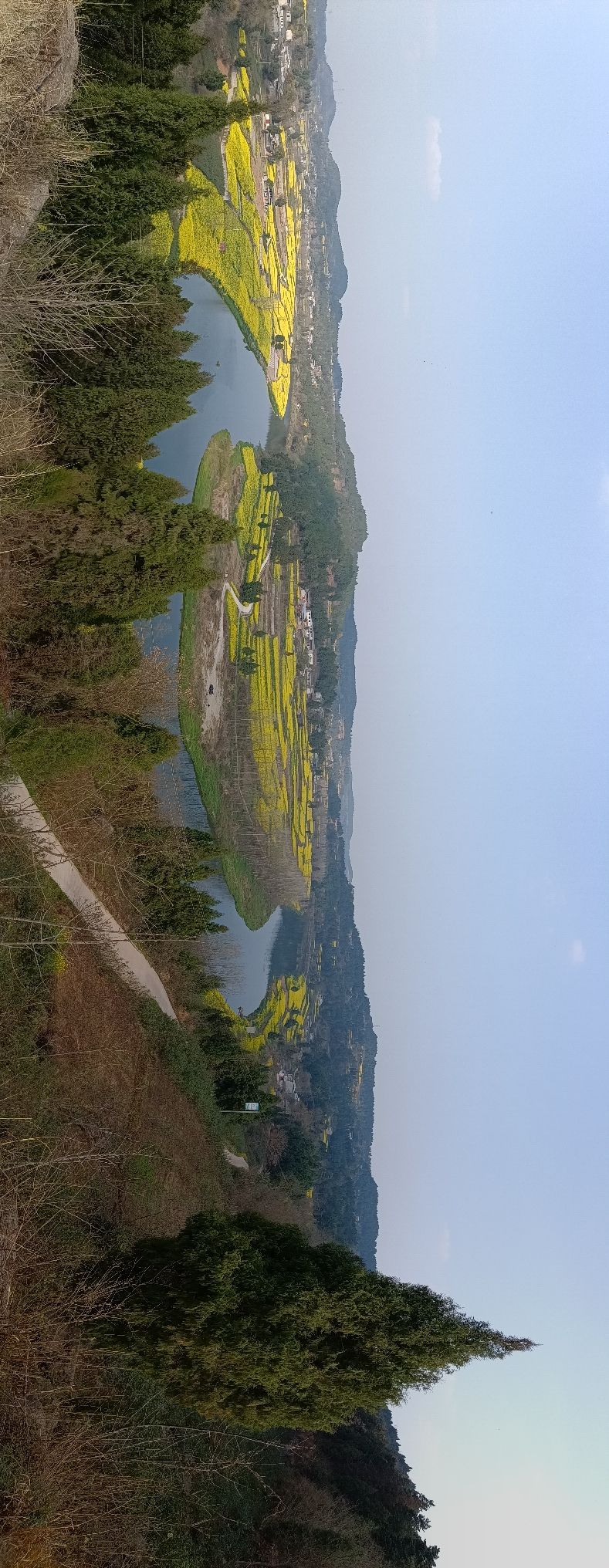 蟠龙大回湾旅行图片 1