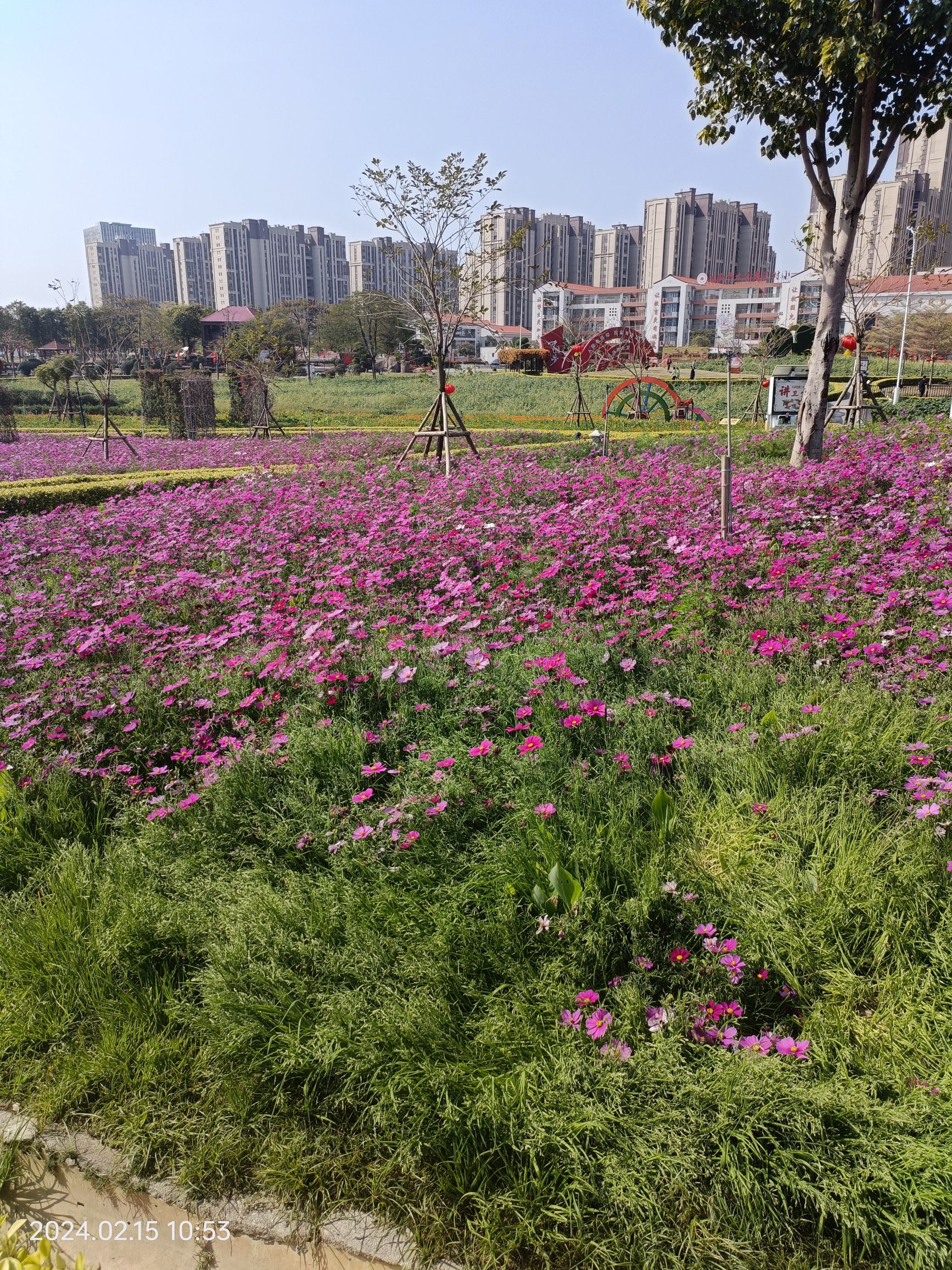 花海2号旅行图片 3
