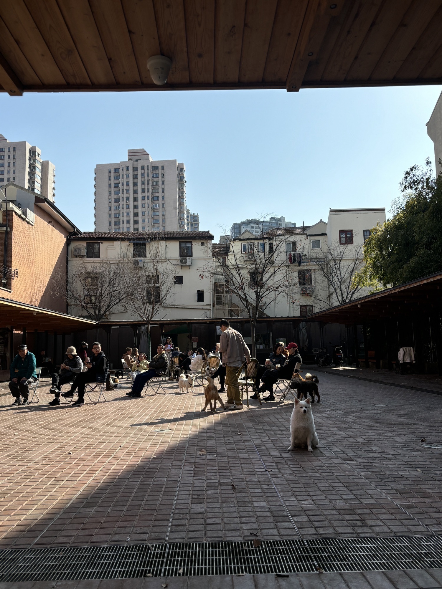 嘉澜庭口袋公园旅行图片 2