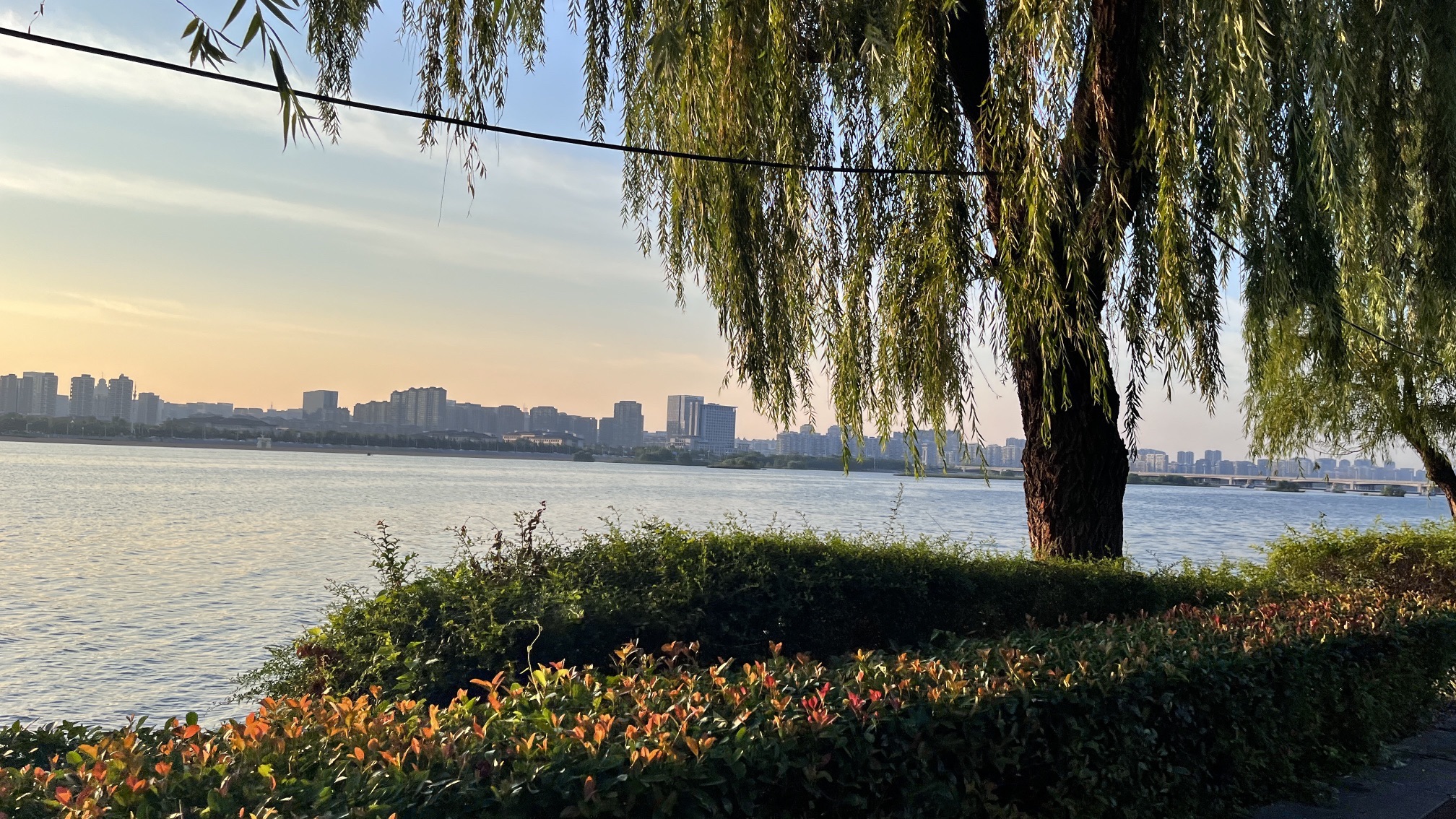 龙腾广场旅行图片 3
