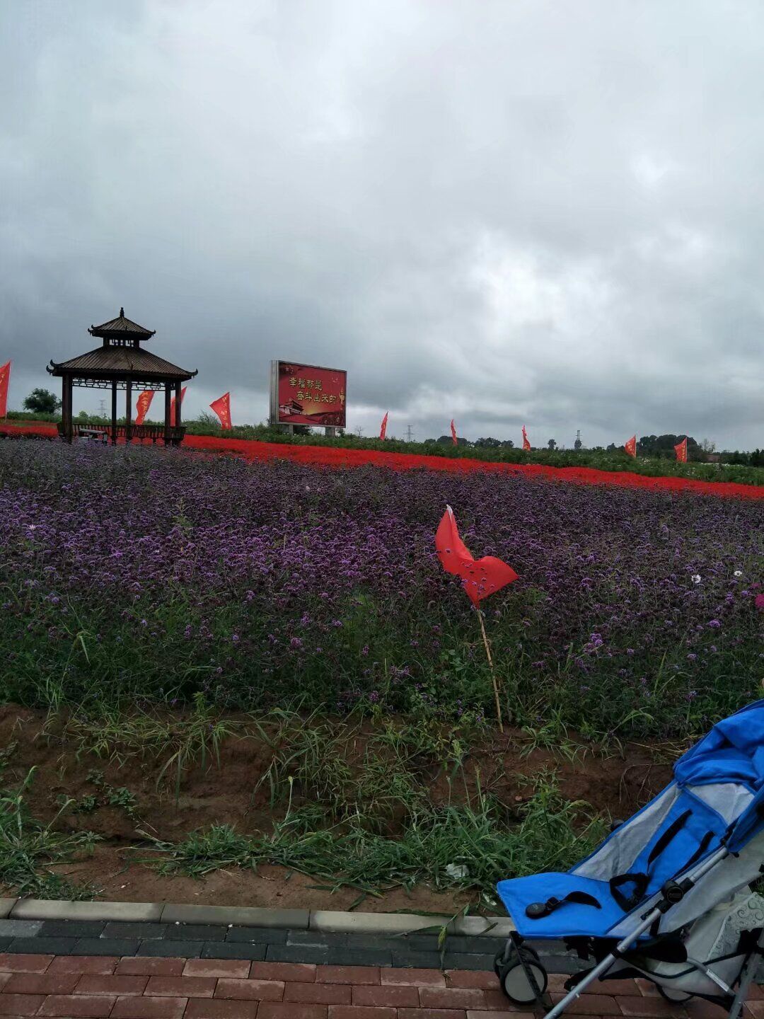 丛泉湖旅行图片 2