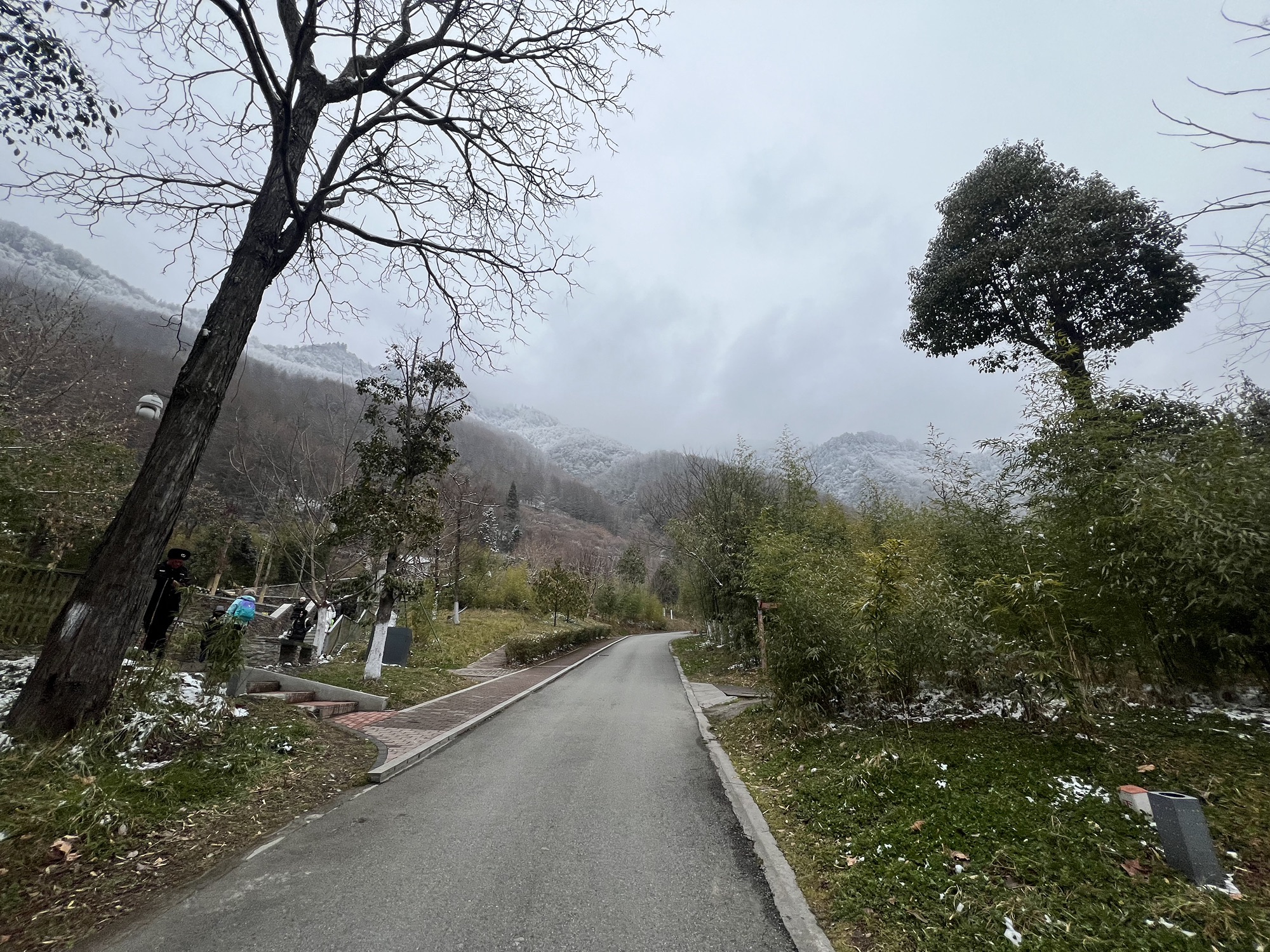 卧龙中华大熊猫苑神树坪基地旅行图片 2