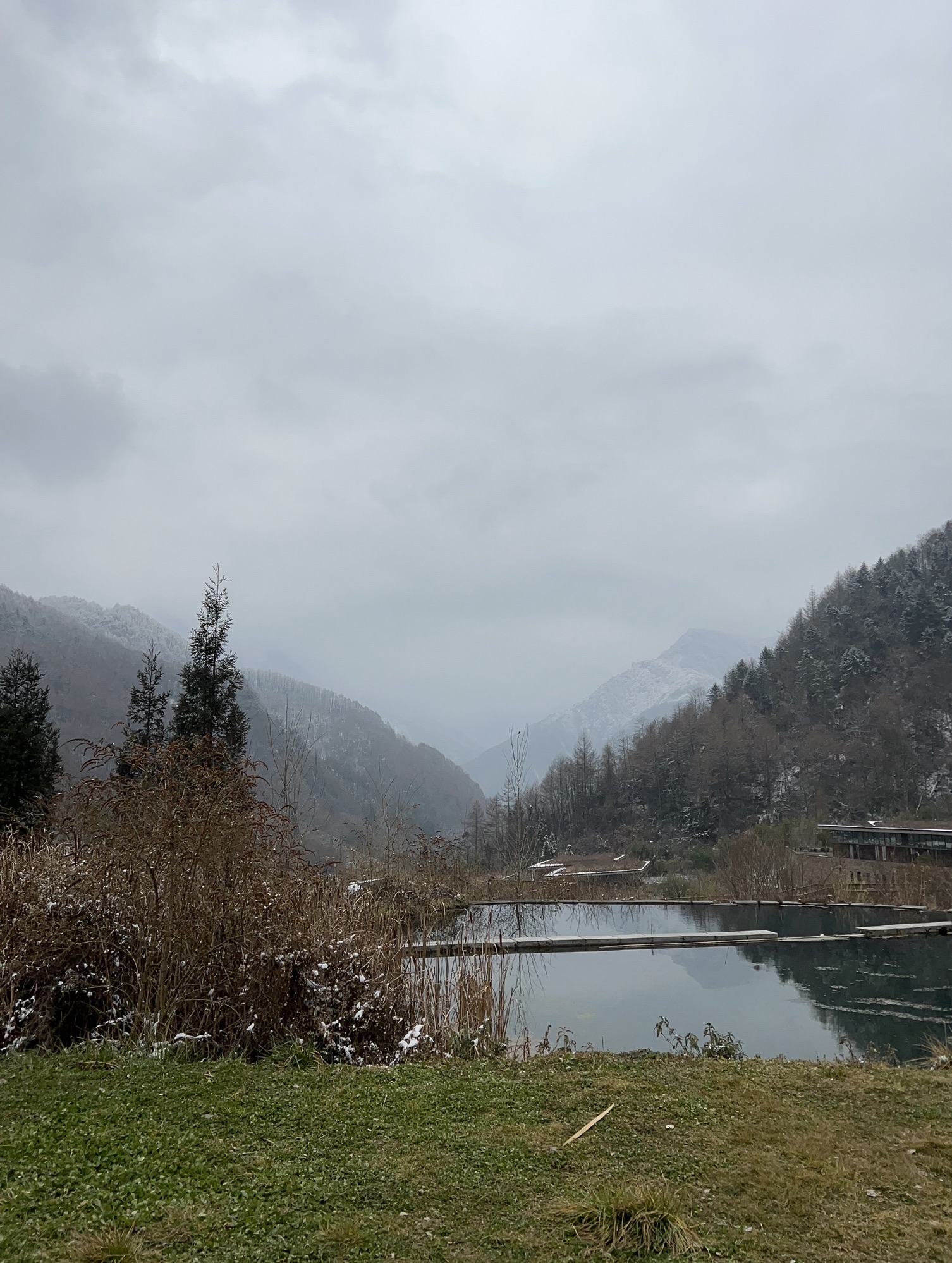 卧龙中华大熊猫苑神树坪基地旅行图片 1