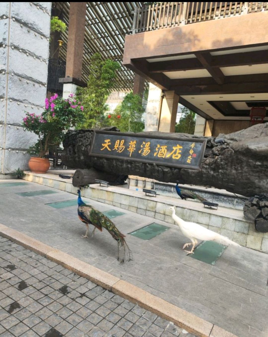 场地封面-天赐华汤温泉