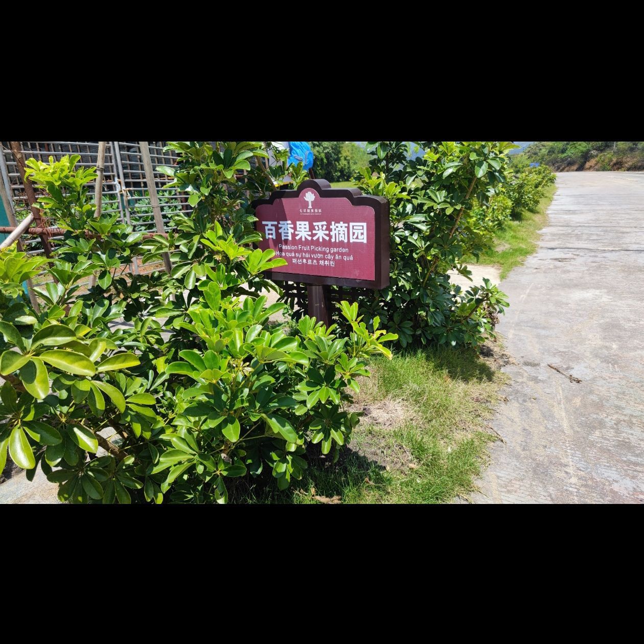 七星顶生态综合旅游度假区旅行图片 1