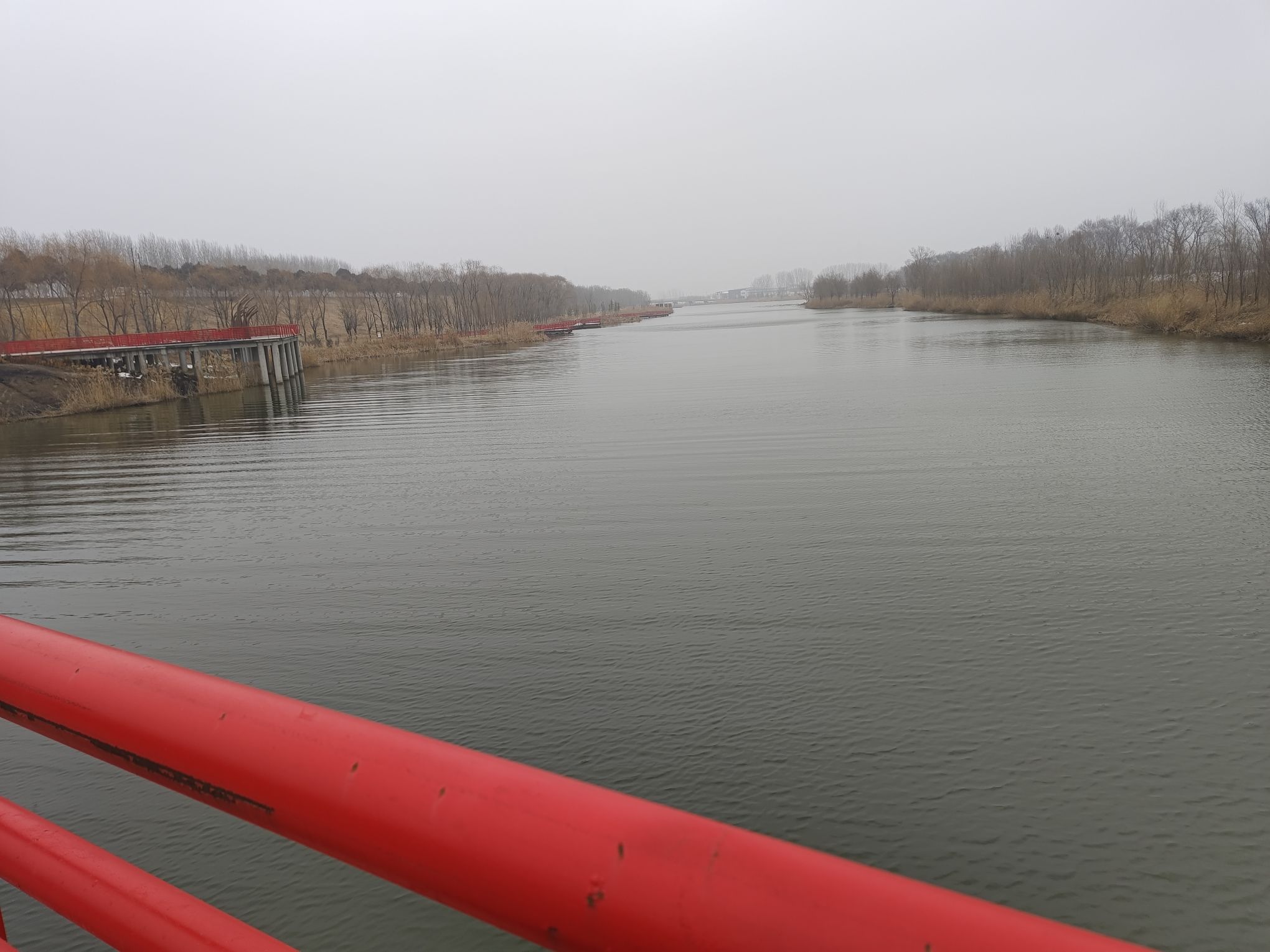 长垣九龙湿地公园旅行图片 2
