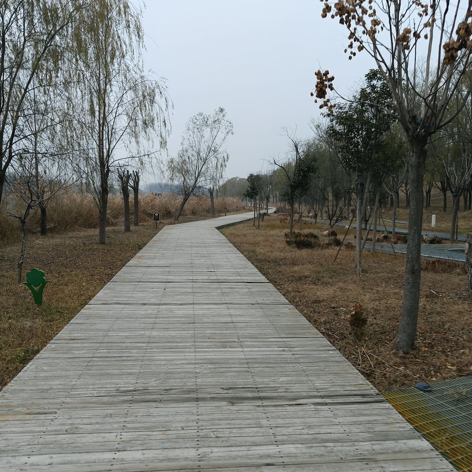 长垣九龙湿地公园旅行图片 1