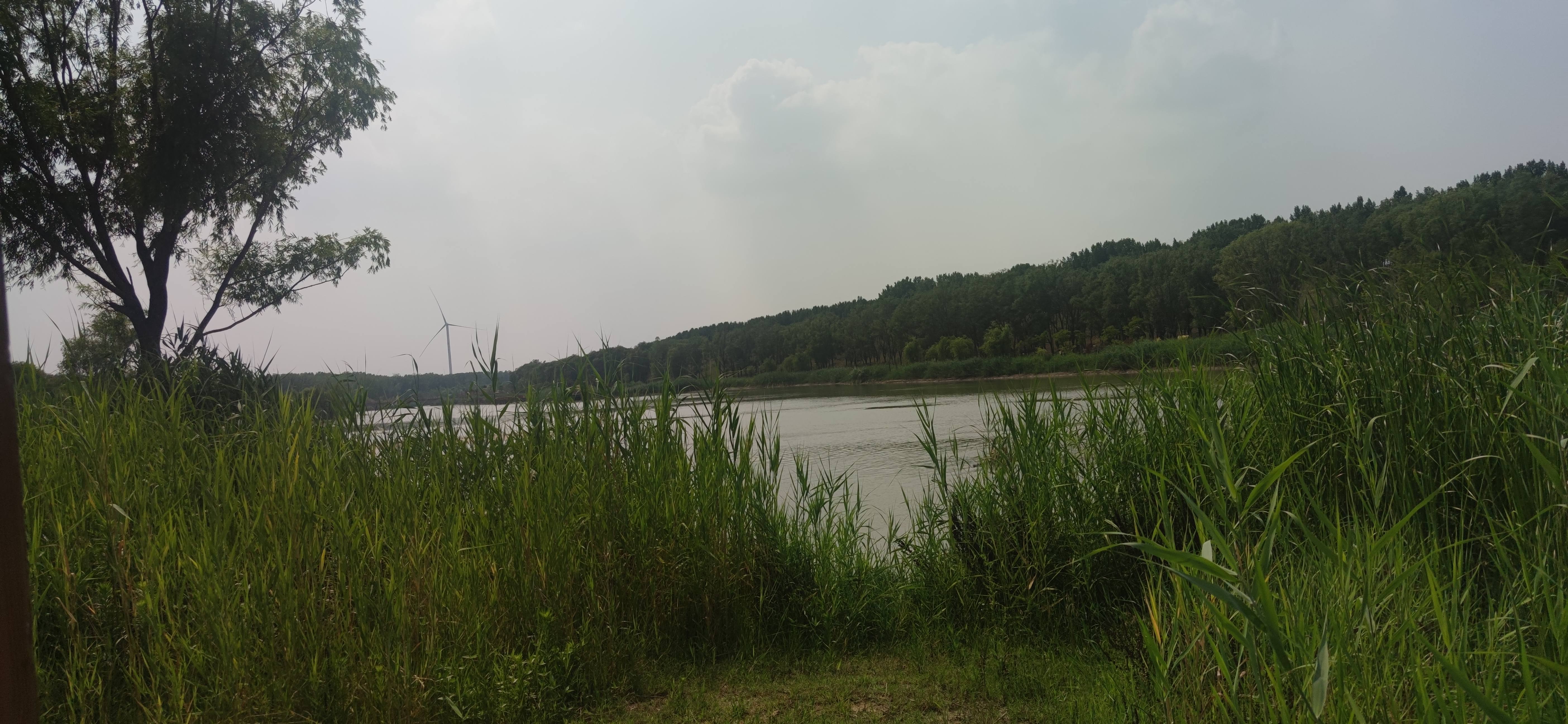 长垣九龙湿地公园旅行图片 3