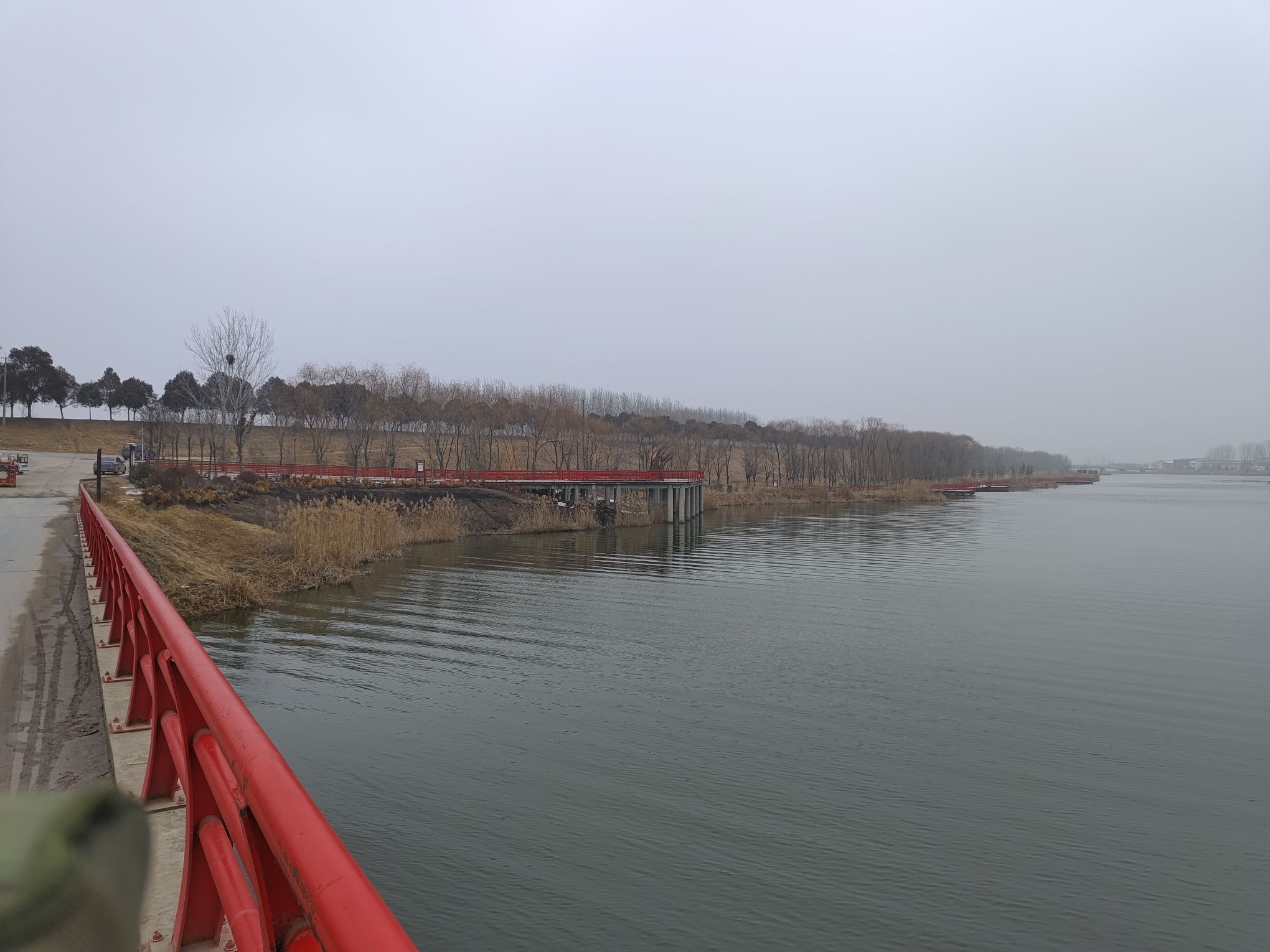 长垣九龙湿地公园旅行图片 1