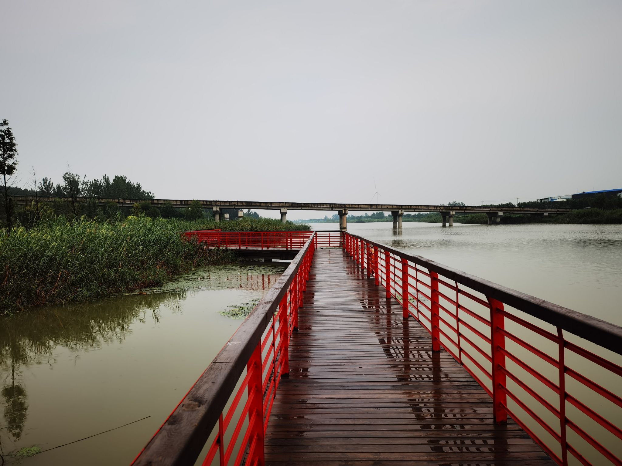 长垣九龙湿地公园