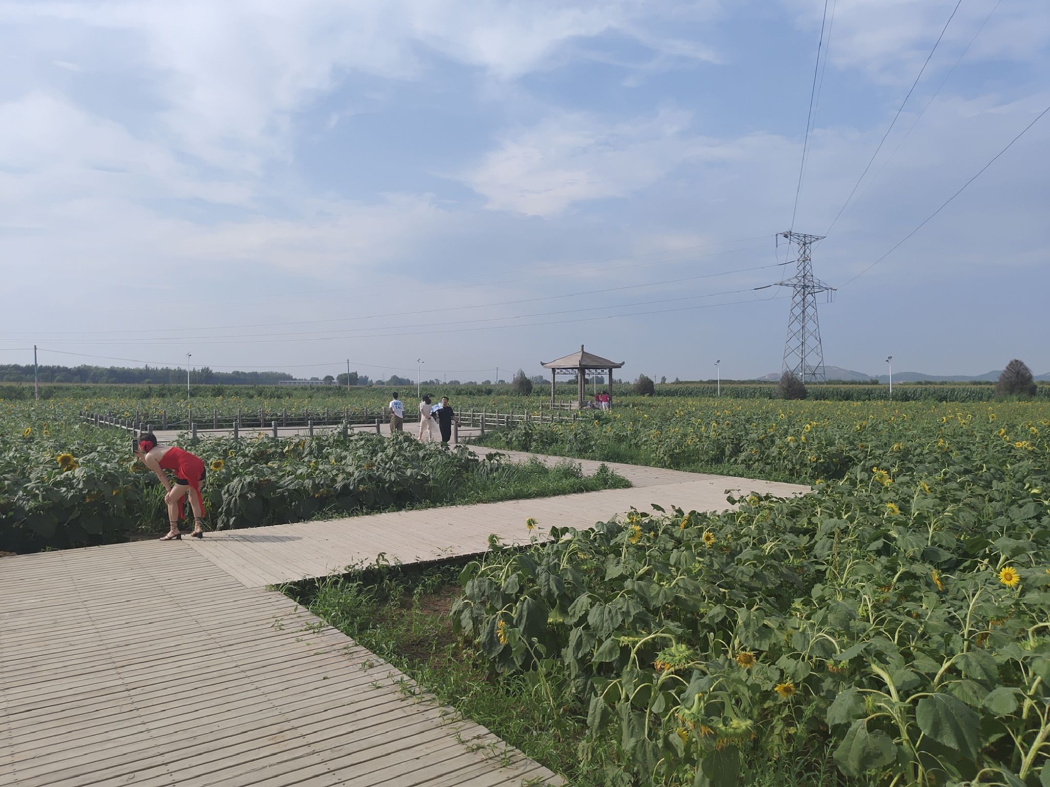 葵花小镇旅行图片 3
