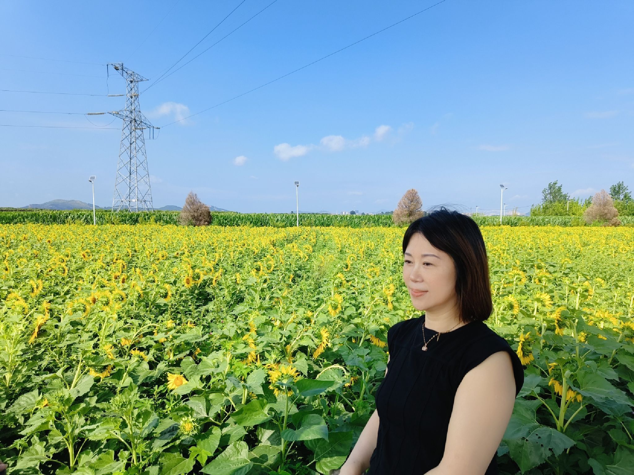 葵花小镇旅行图片 1