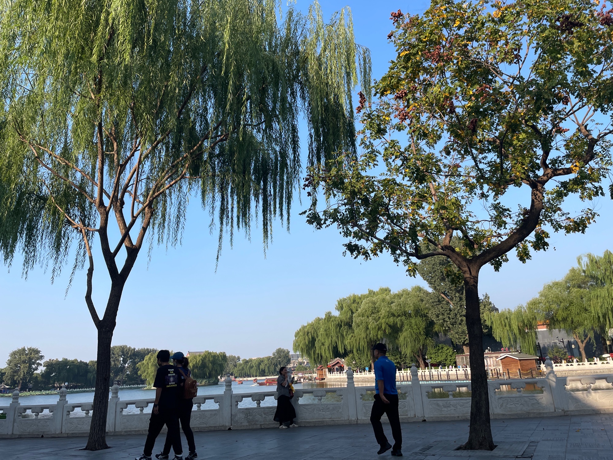 海清苑旅行图片 1