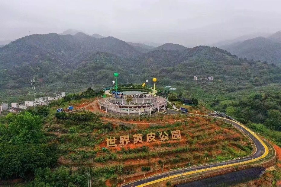 世界黄皮公园