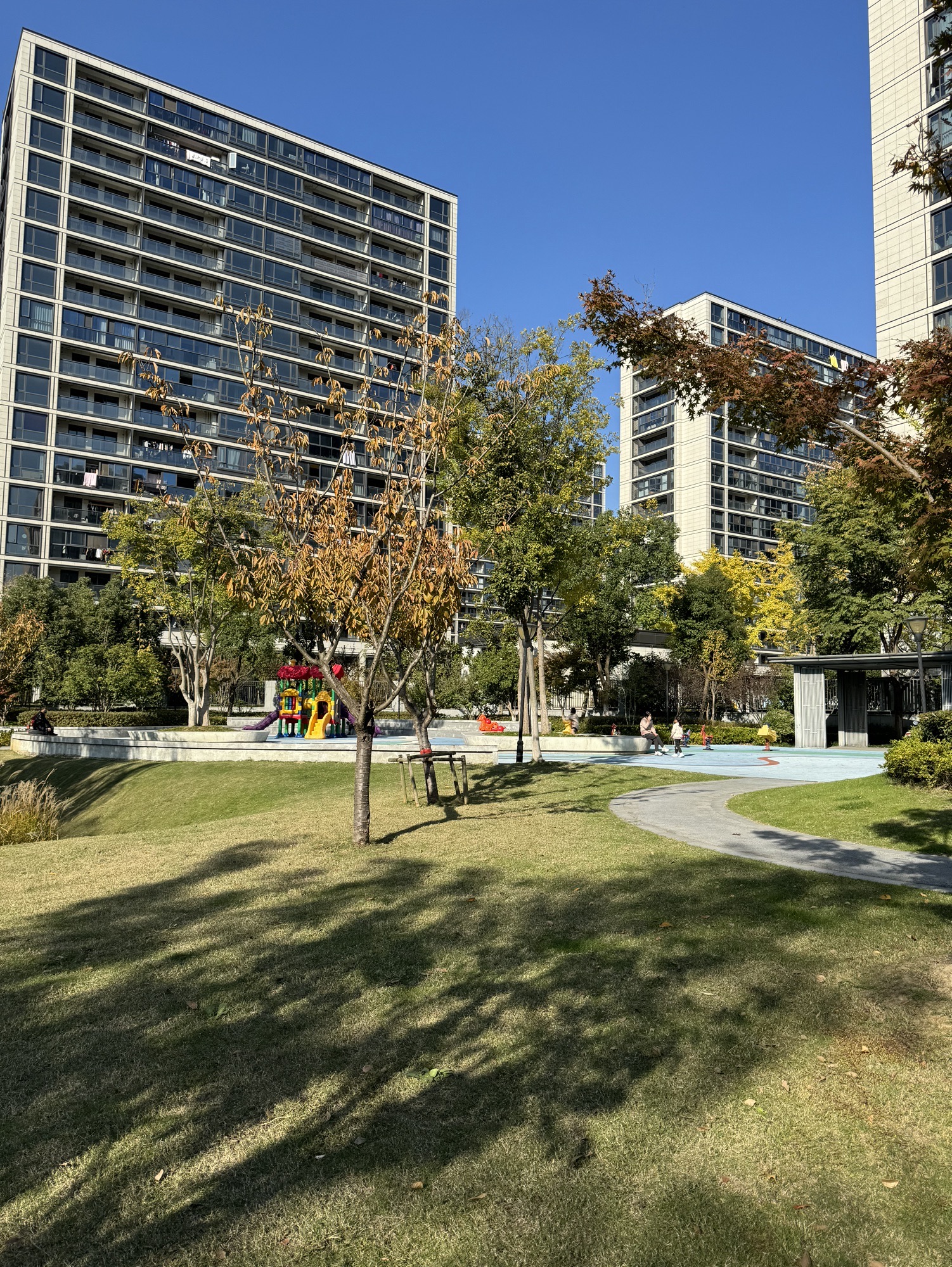 嘉兴·永政路公园旅行图片 2