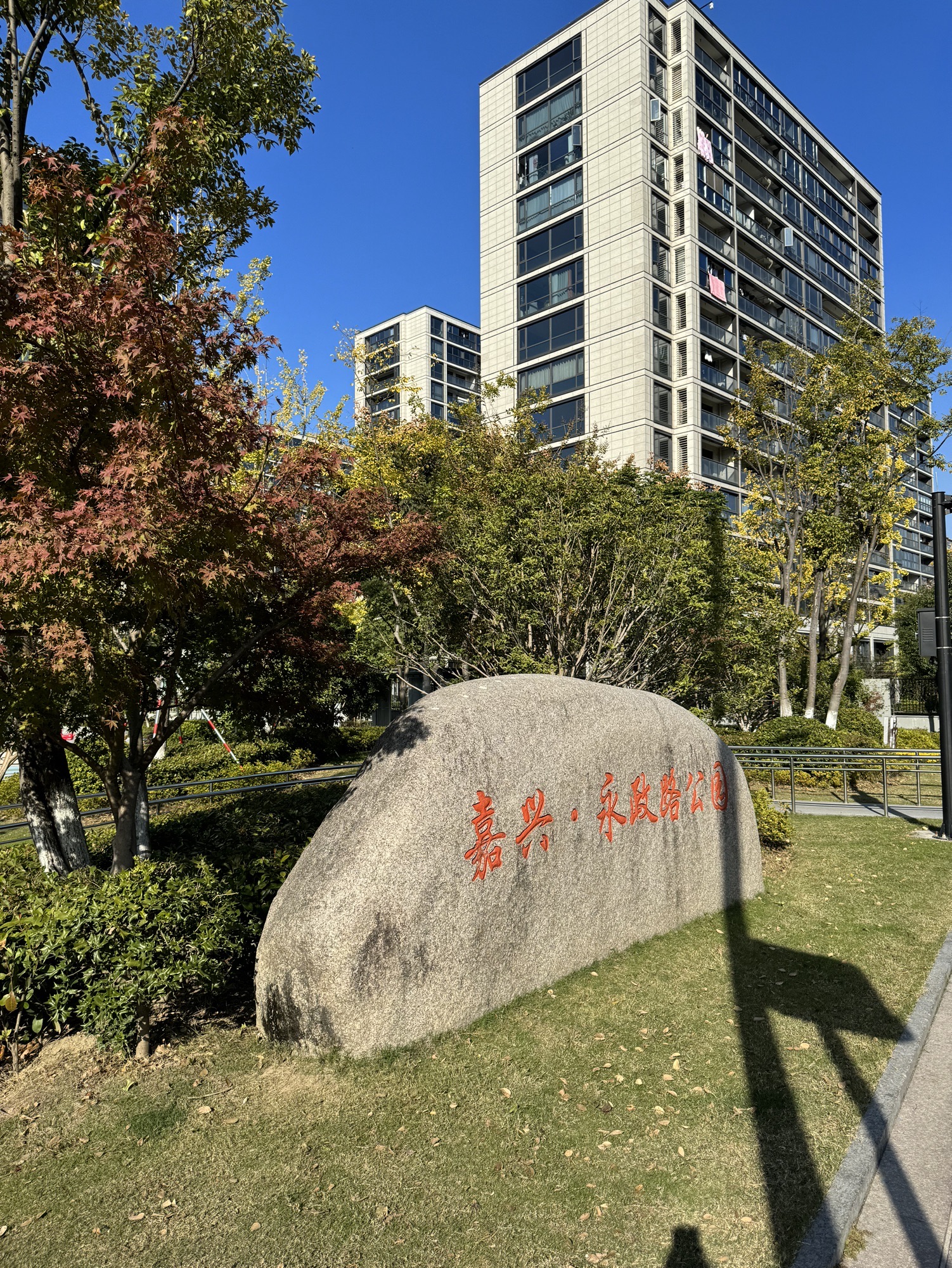 嘉兴·永政路公园旅行图片 1