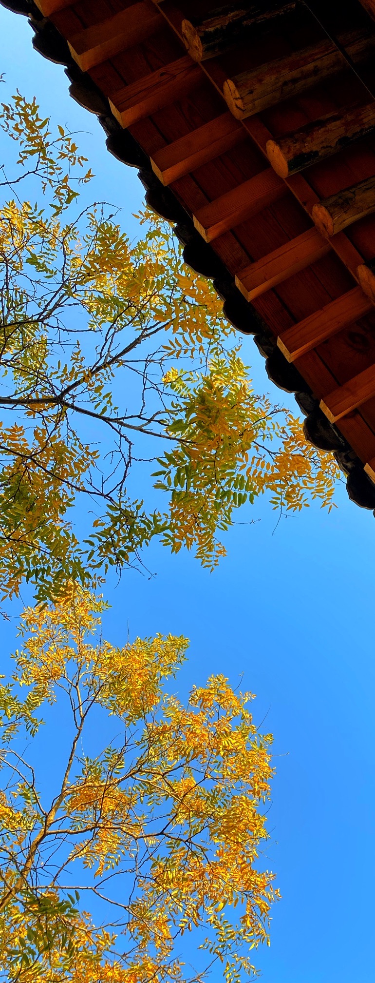 青龙观玄帝宫旅行图片 3