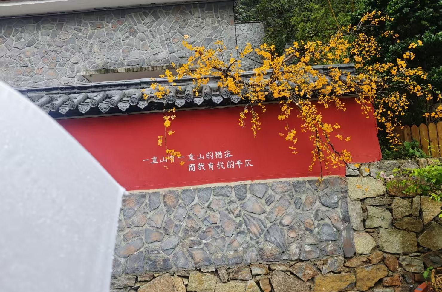 山东文旅·红叶柿岩旅游区旅行图片 3
