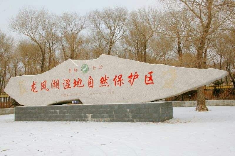 吉林长岭龙凤湖湿地自然保护区旅行图片 1