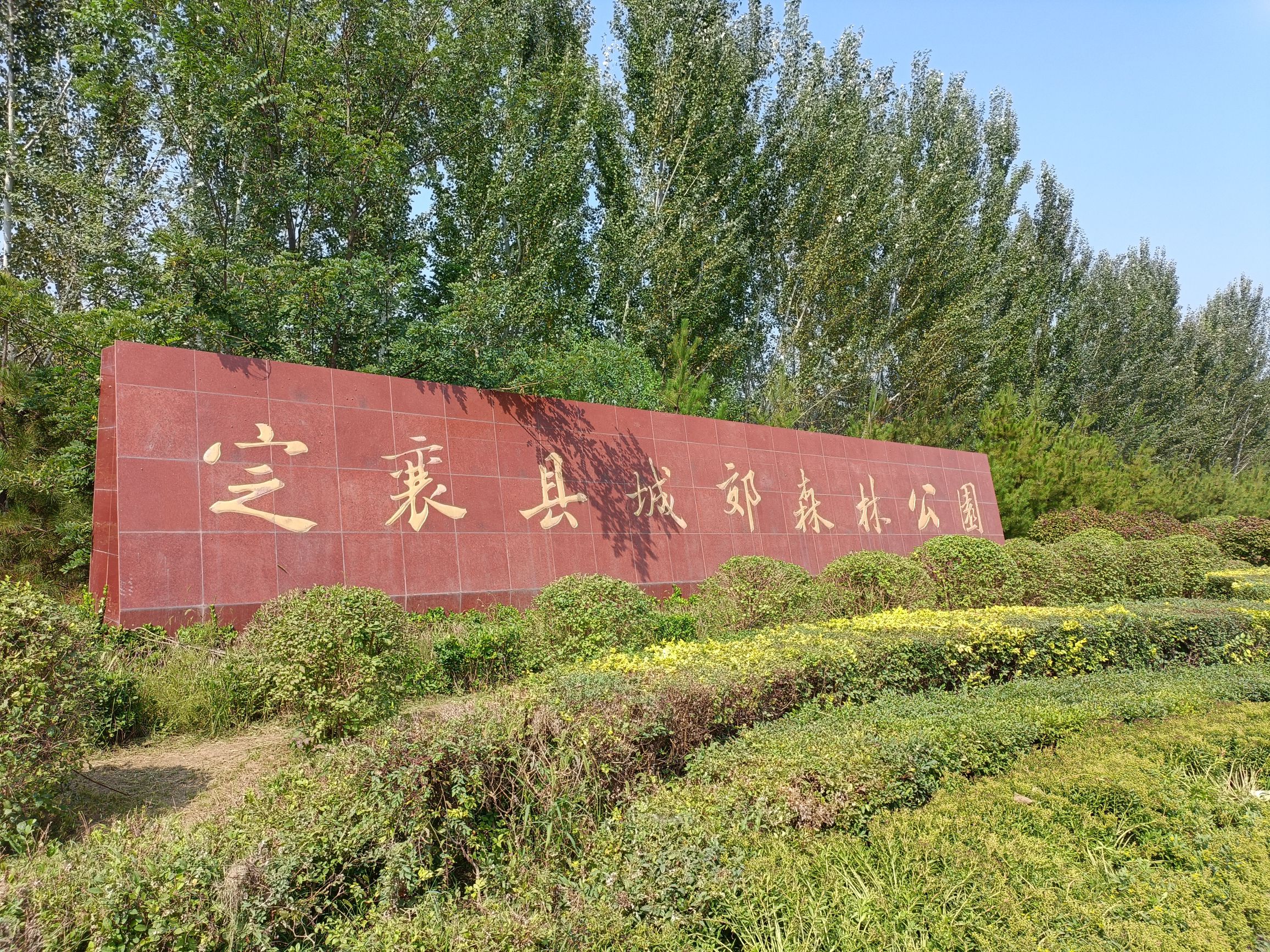 定襄森林公园