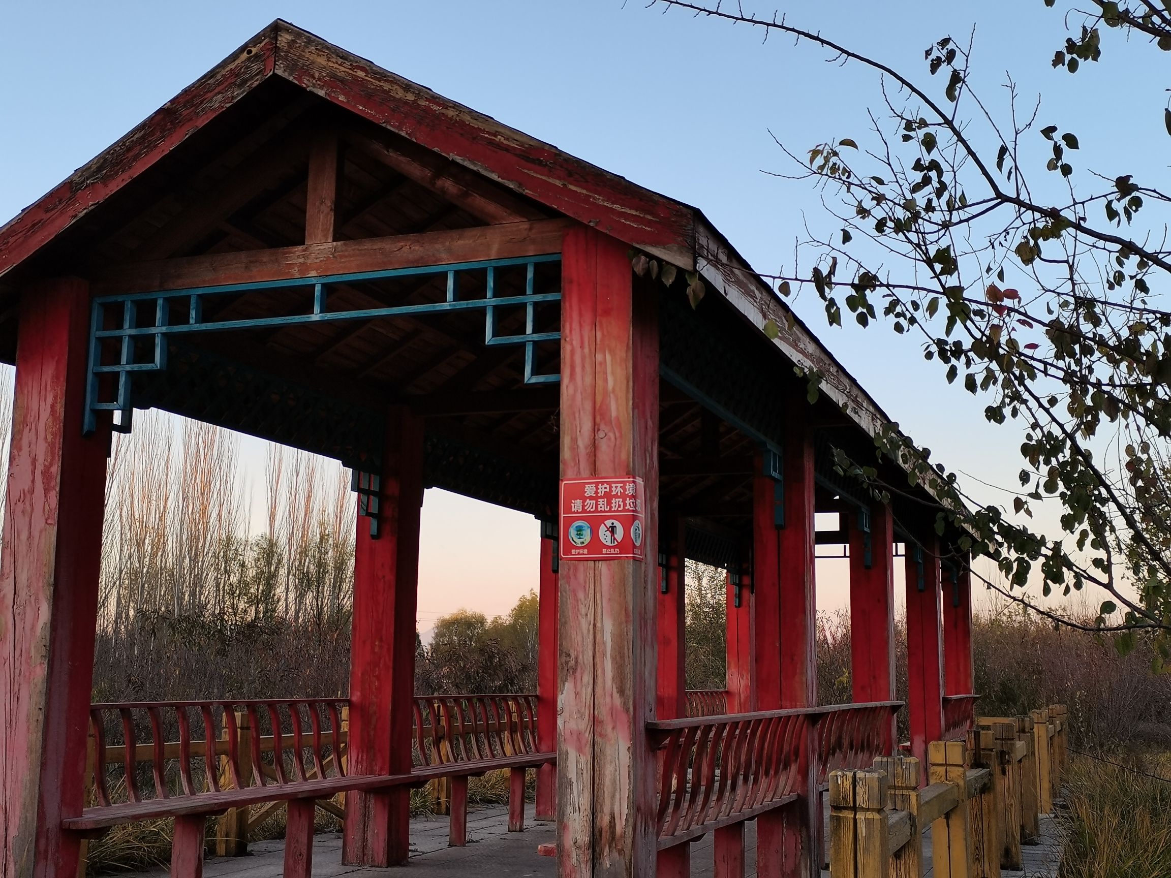 定襄森林公园旅行图片 1