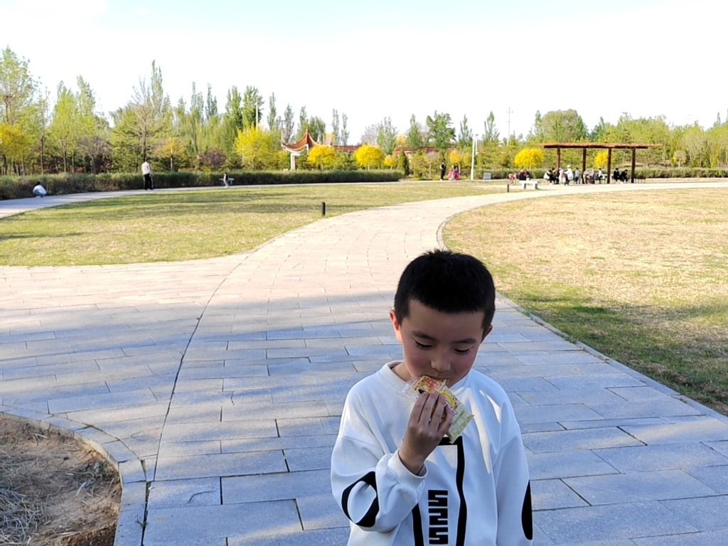 定襄森林公园旅行图片 3