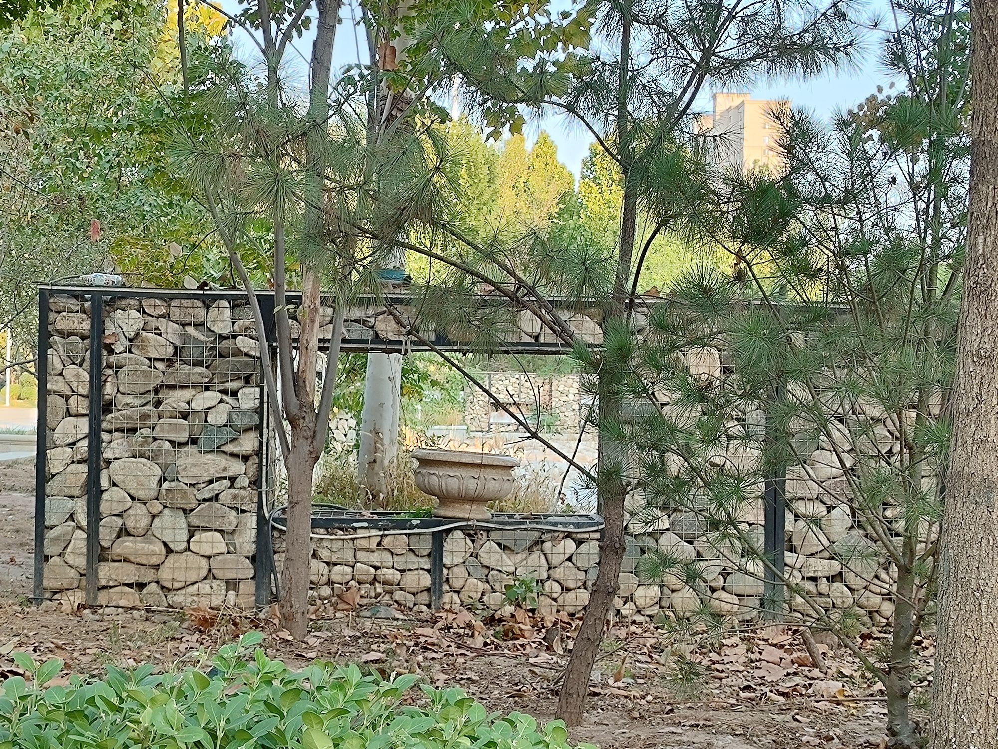 民生公园旅行图片 3