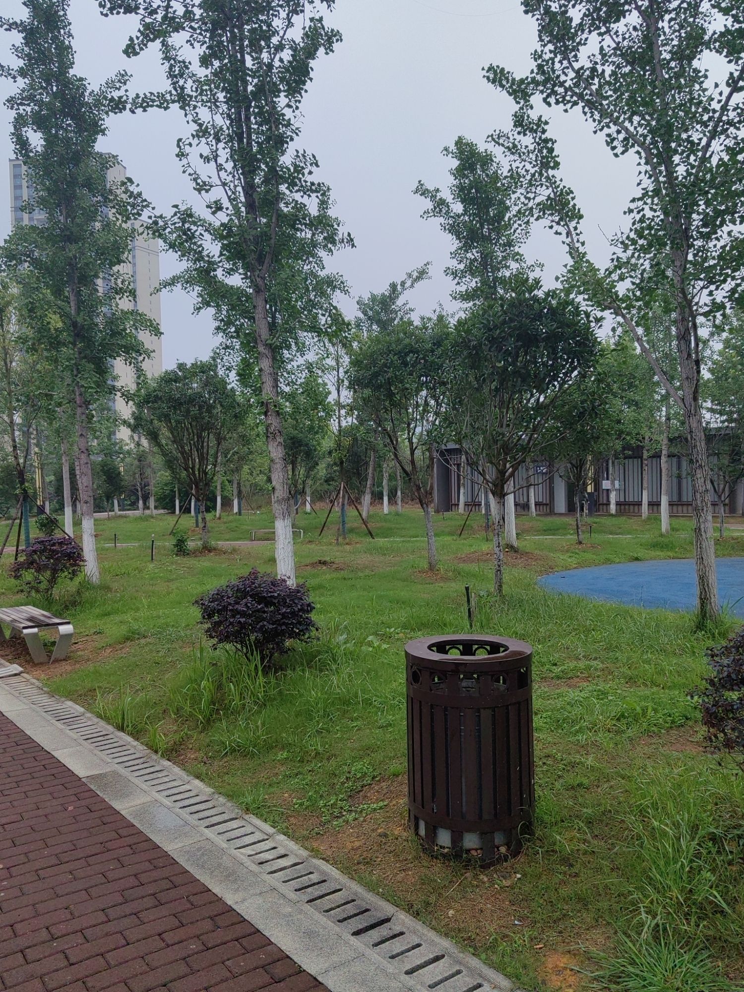 道州绍基公园旅行图片 2