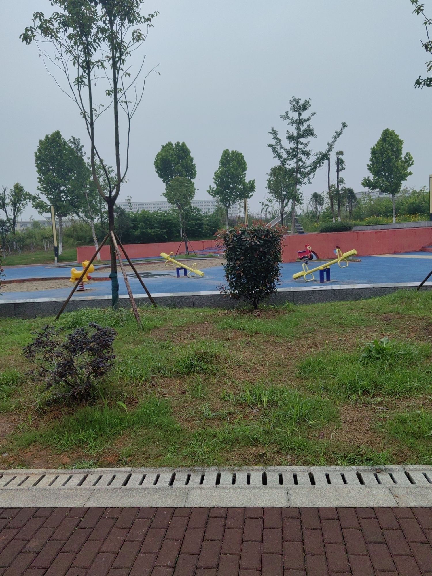 道州绍基公园旅行图片 1