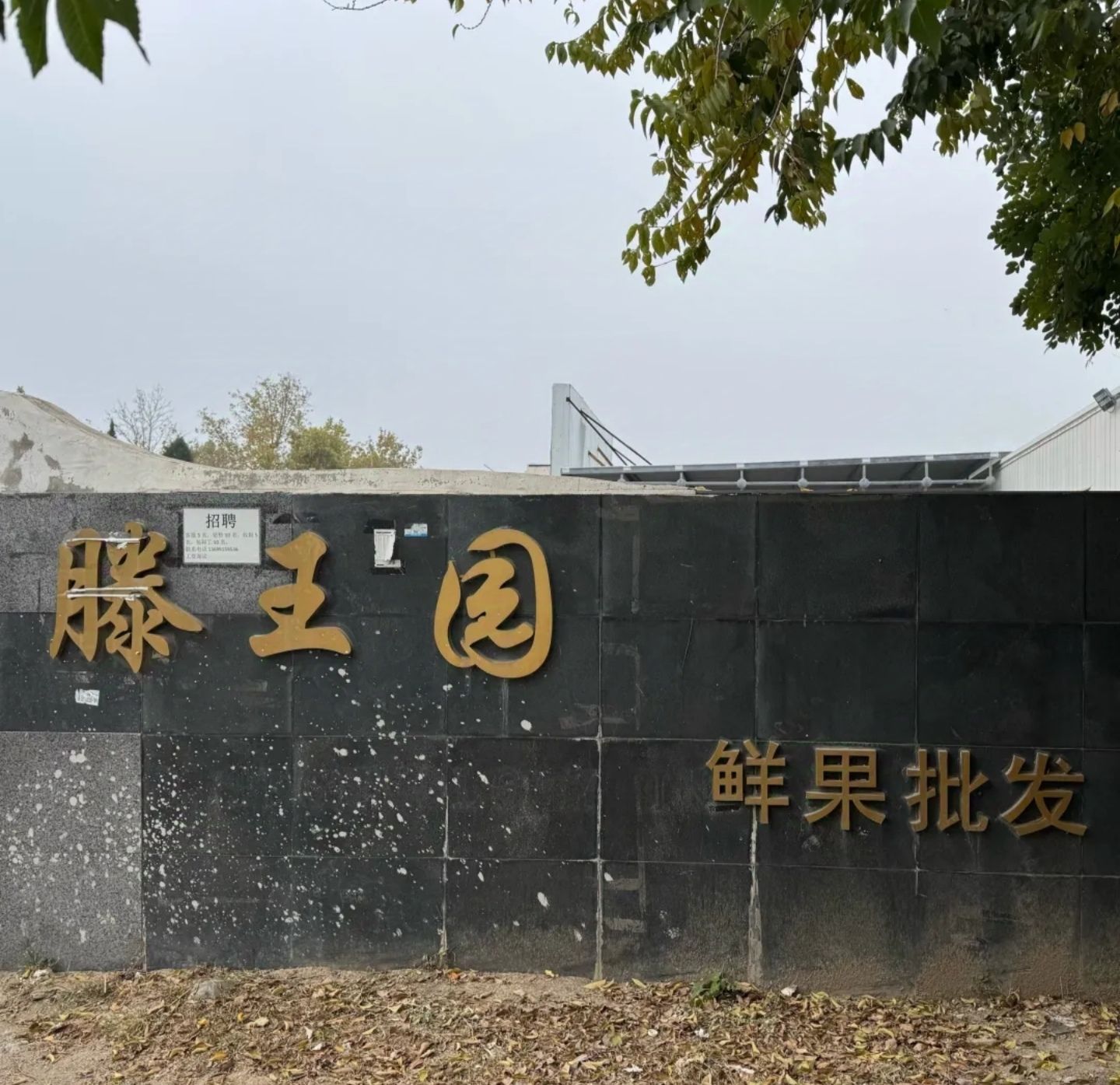 滕王园鲜果批发