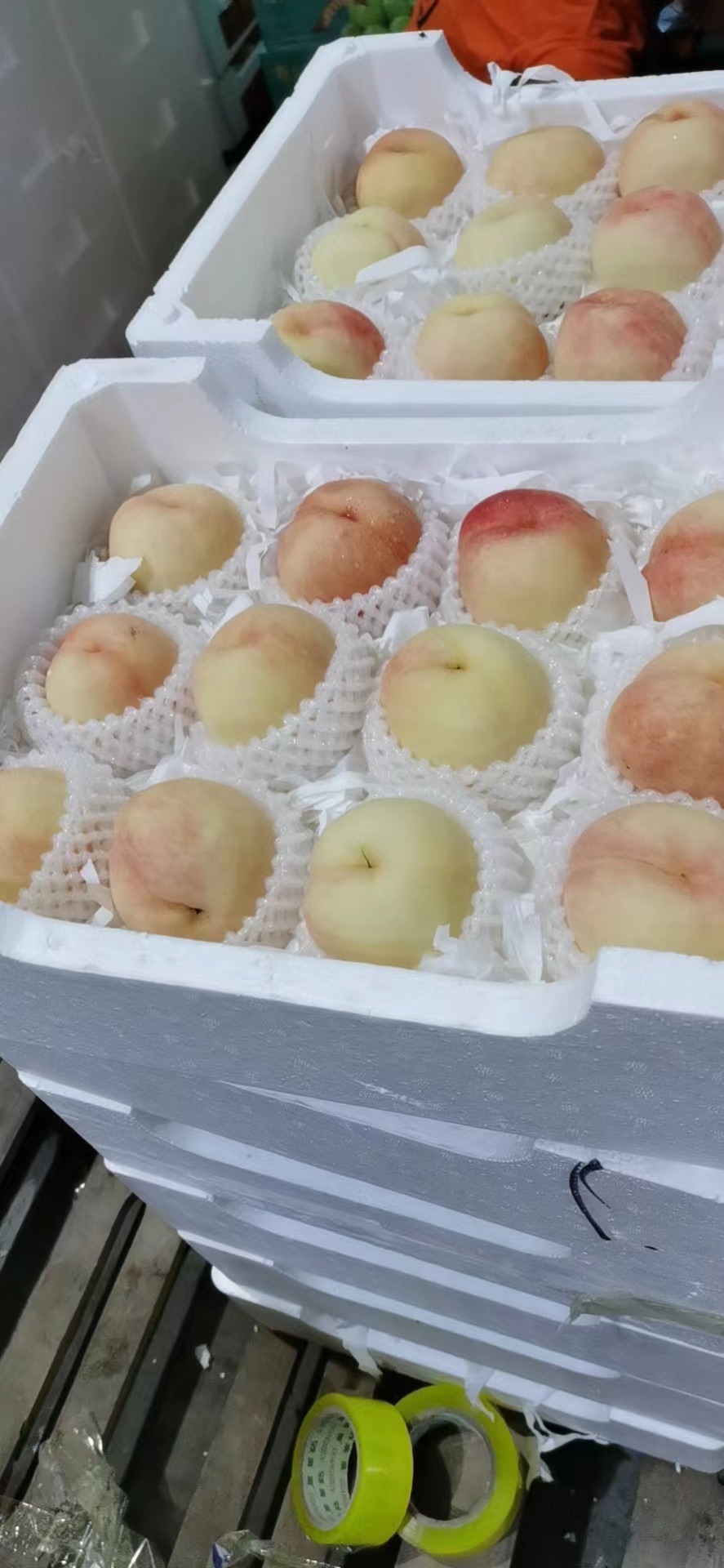 滕王园鲜果批发