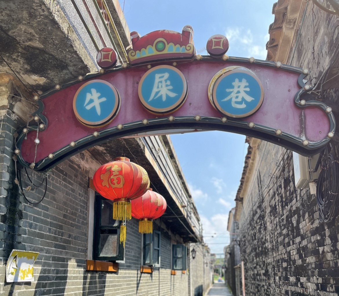 草坪里旅行图片 1