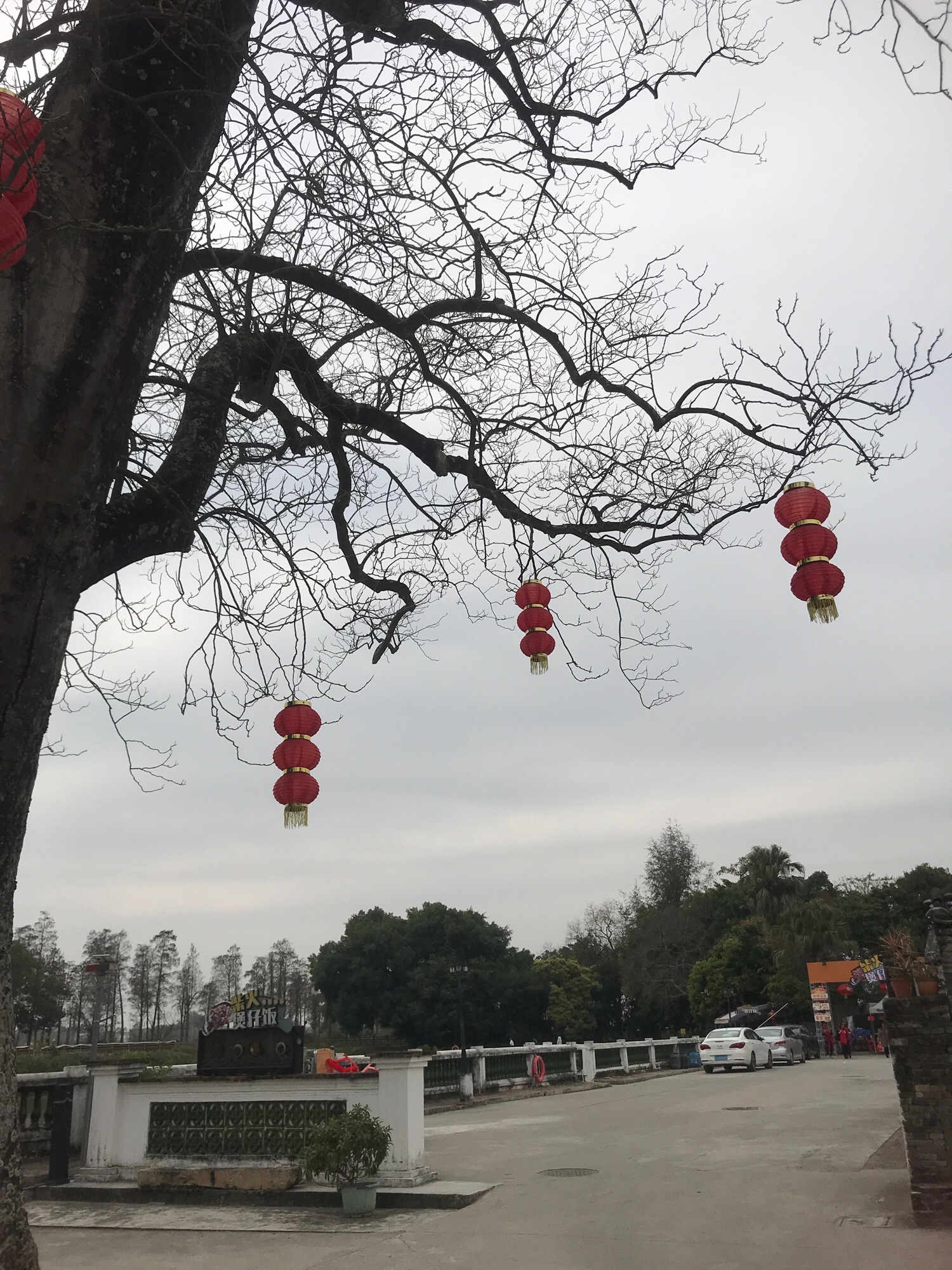 草坪里旅行图片 3