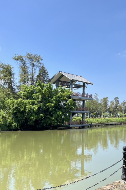 草坪里旅行图片 2