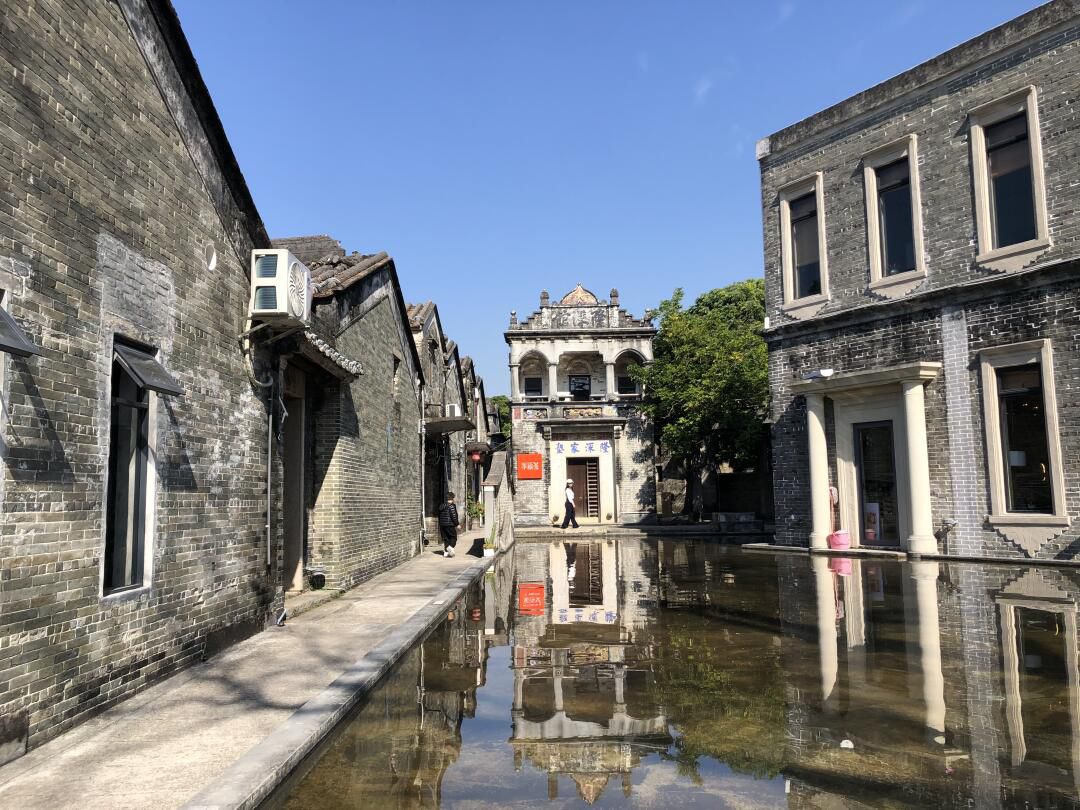 草坪里旅行图片 1