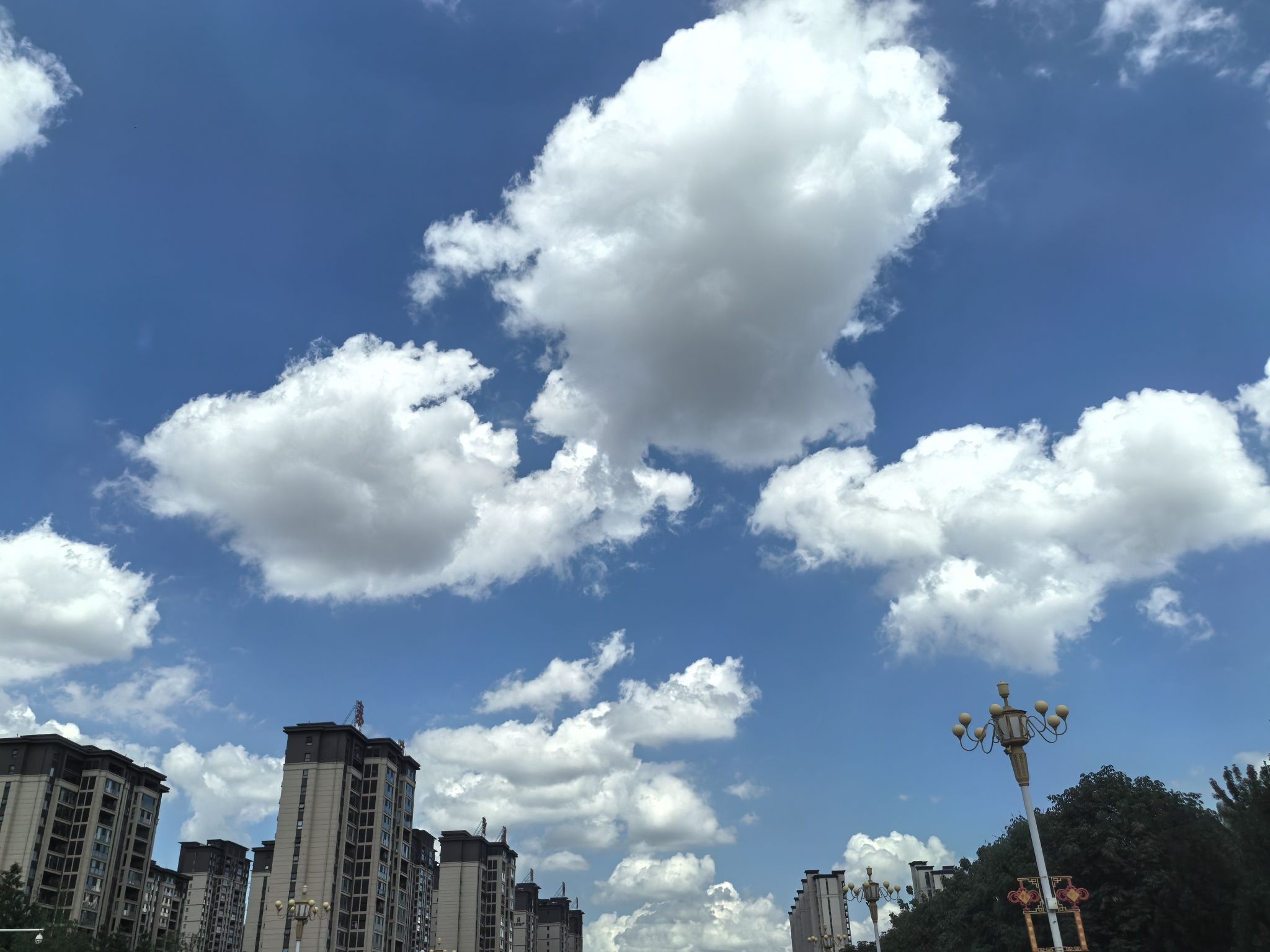 开发区中山公园旅行图片 2