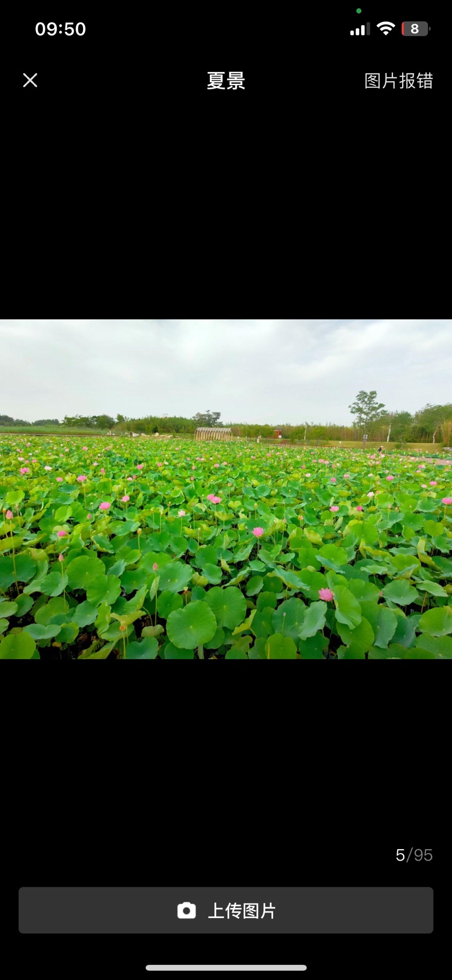 王家潭旅行图片 2