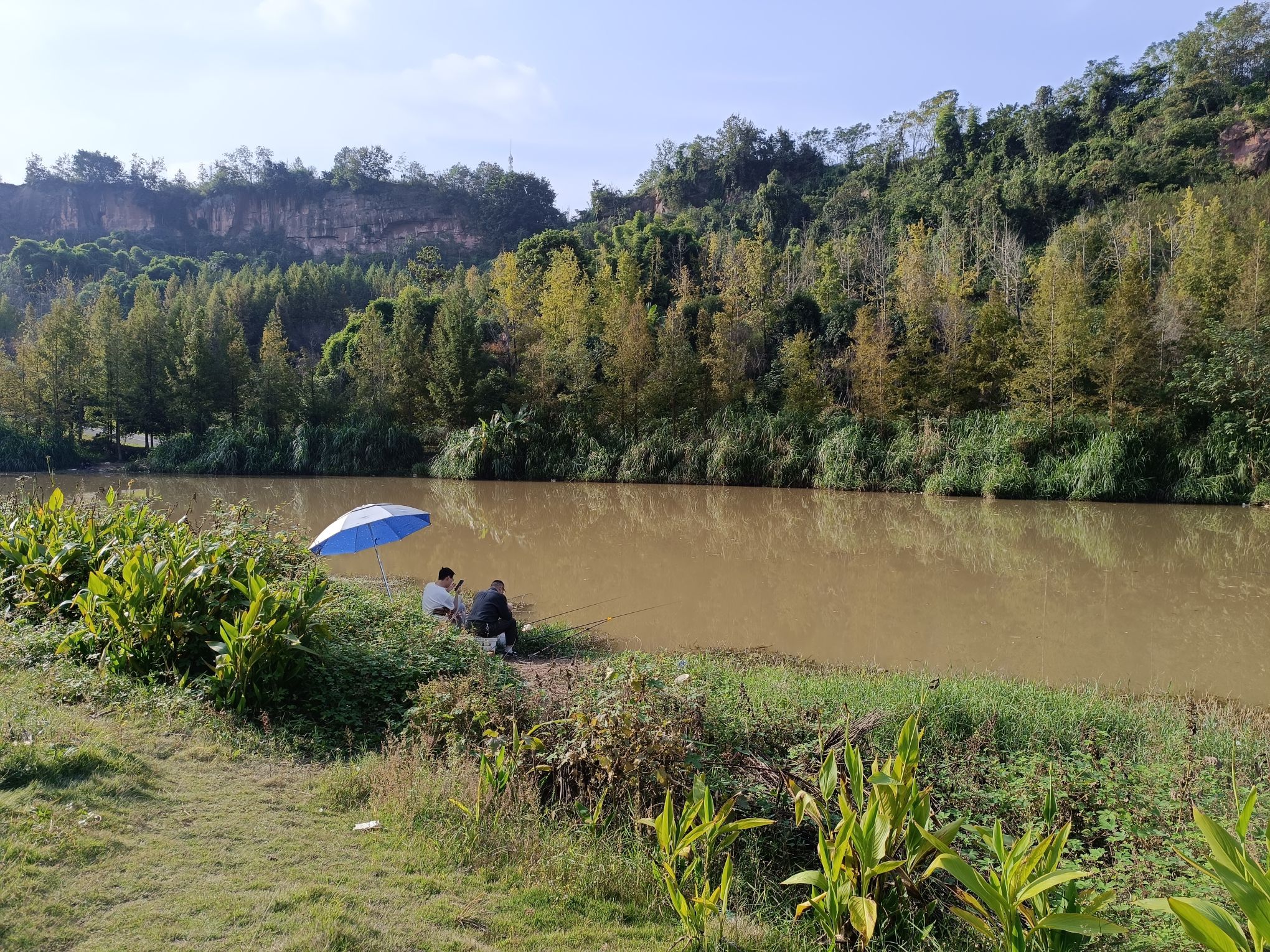 竹溪河草地公园旅行图片 3