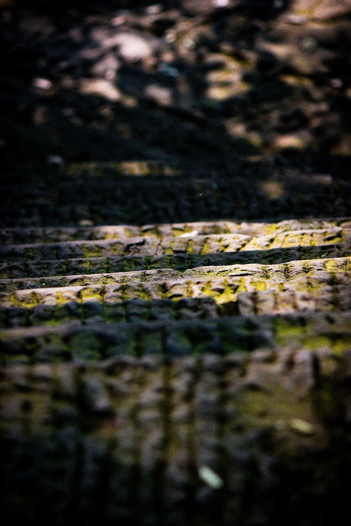 水涯晓渡广场旅行图片 1